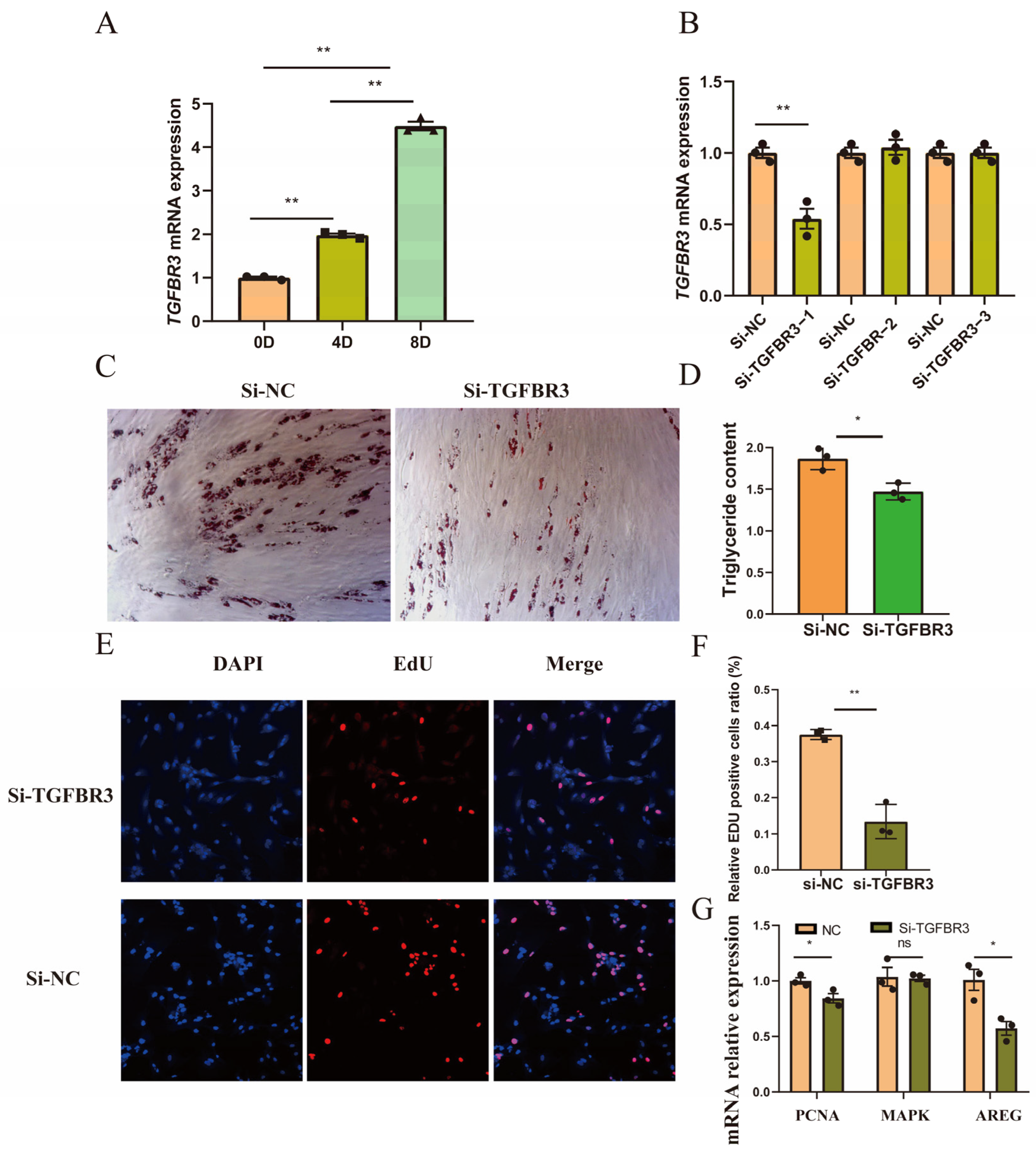 Animals 14 02657 g006