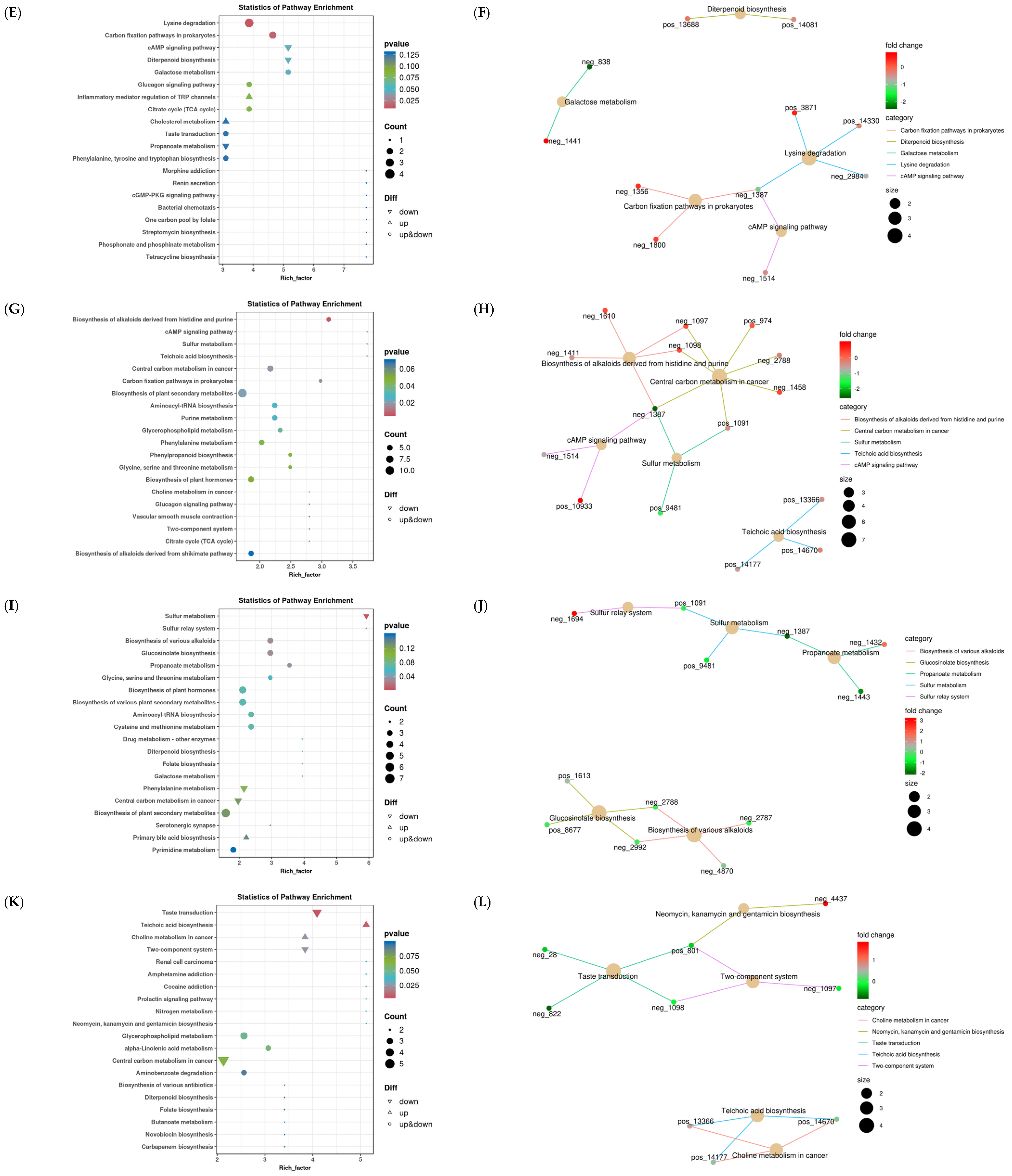 Animals 14 02661 g004b