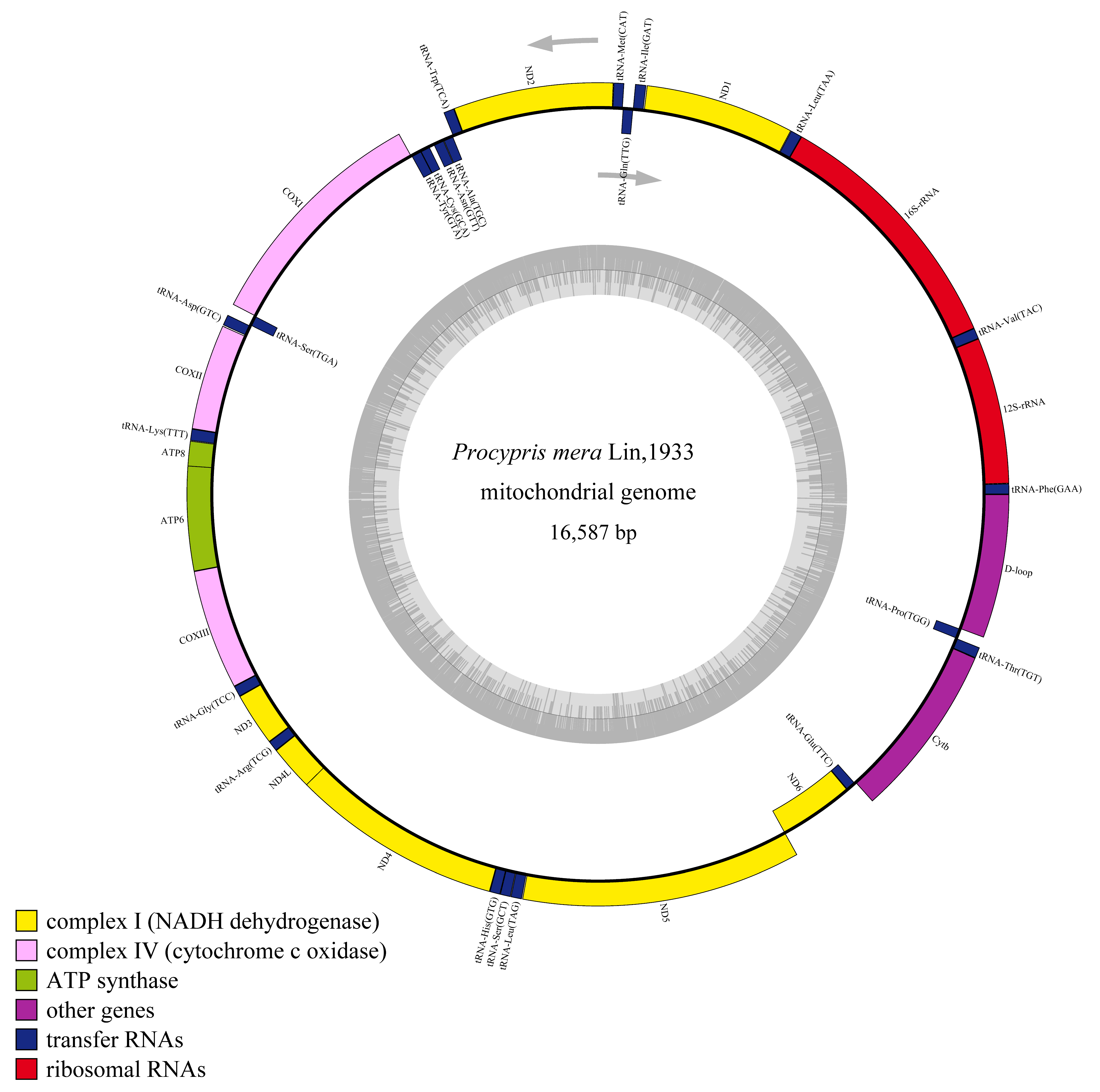 Animals 14 02672 g002