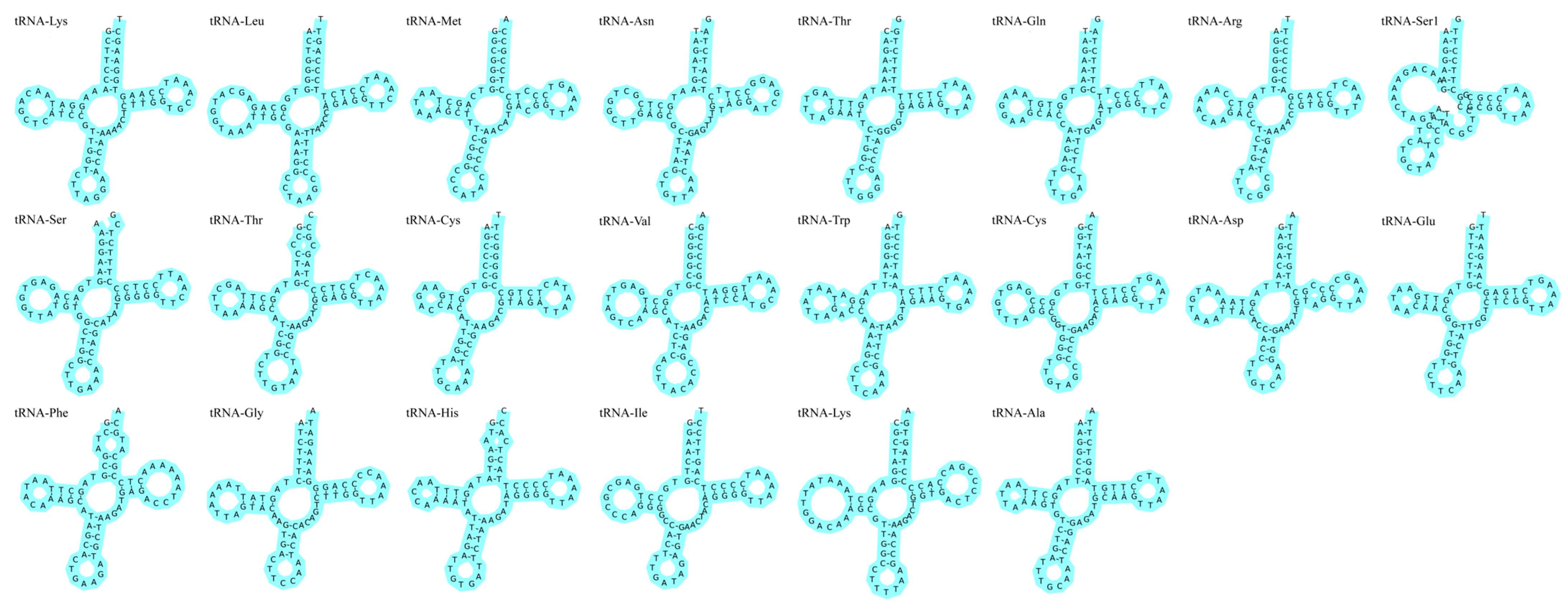 Animals 14 02672 g004