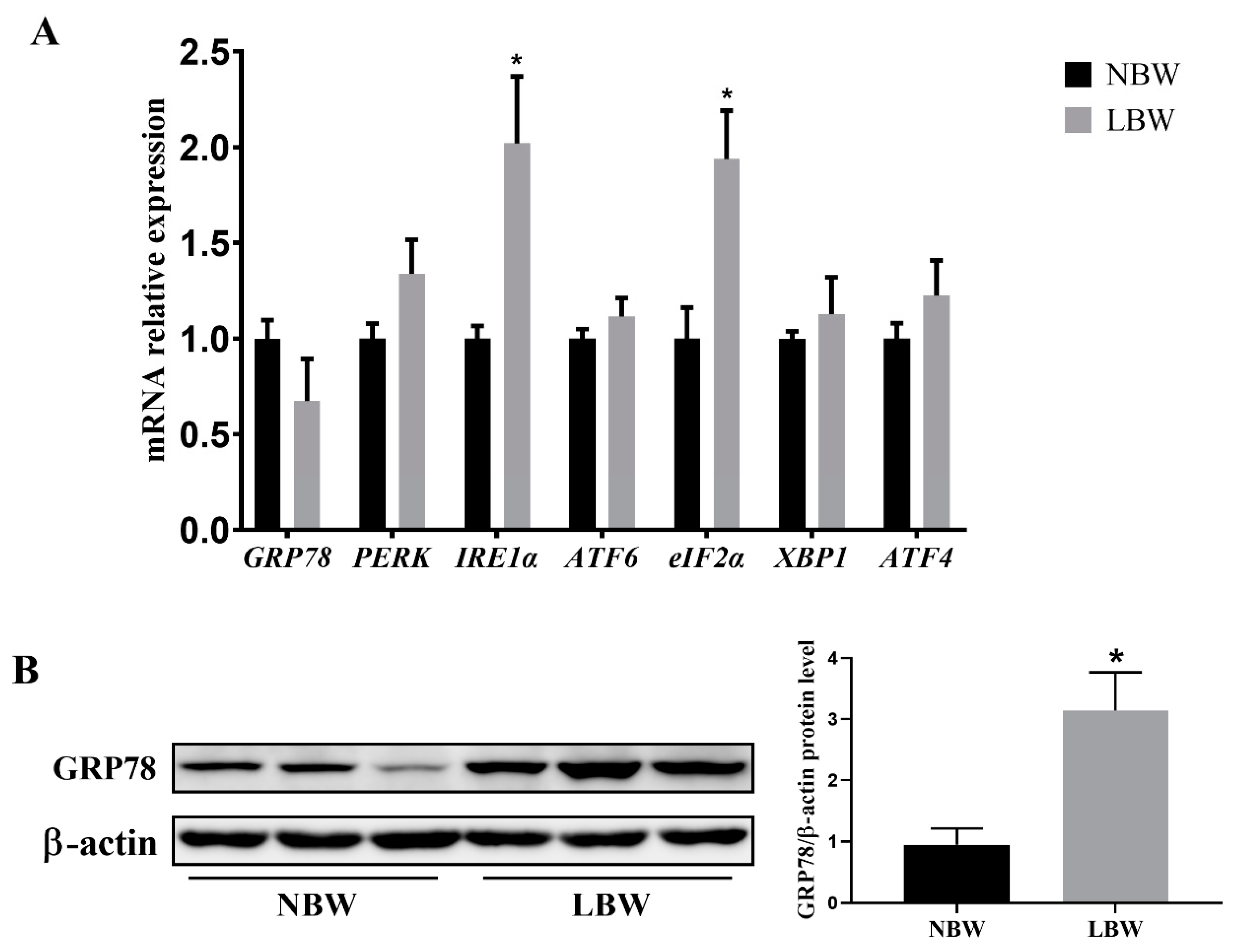 Animals 14 02677 g002