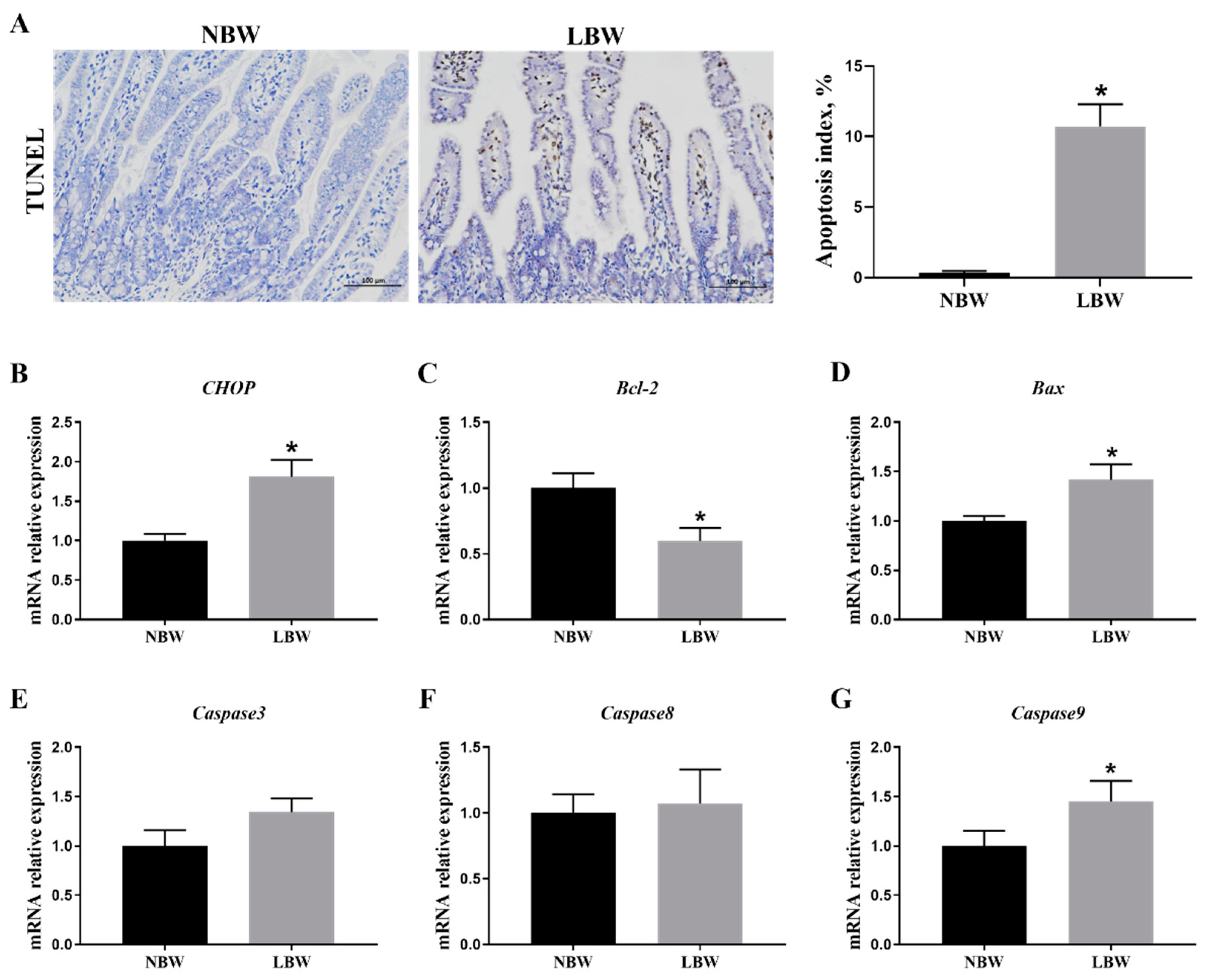 Animals 14 02677 g003