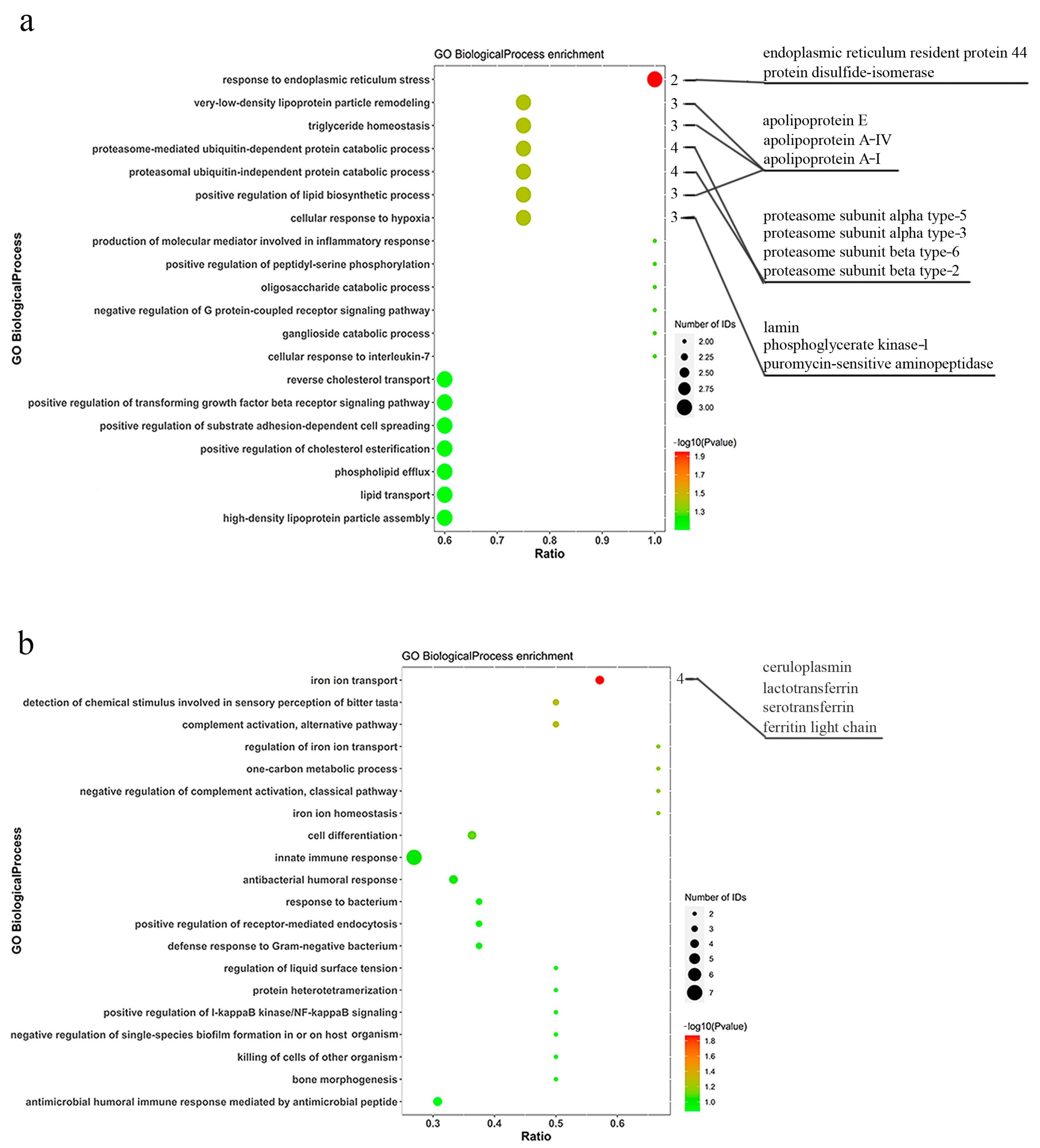 Animals 14 02683 g002