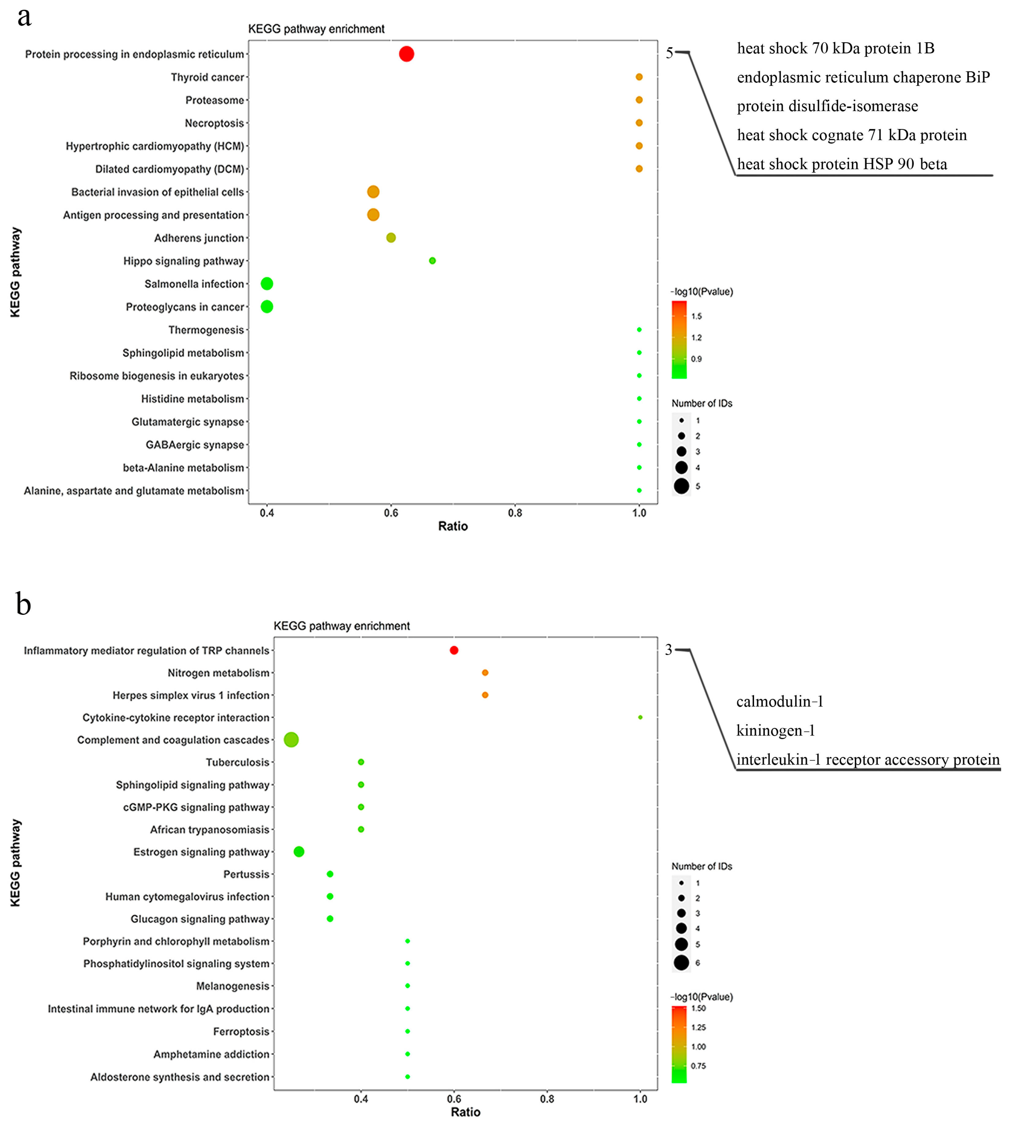 Animals 14 02683 g003