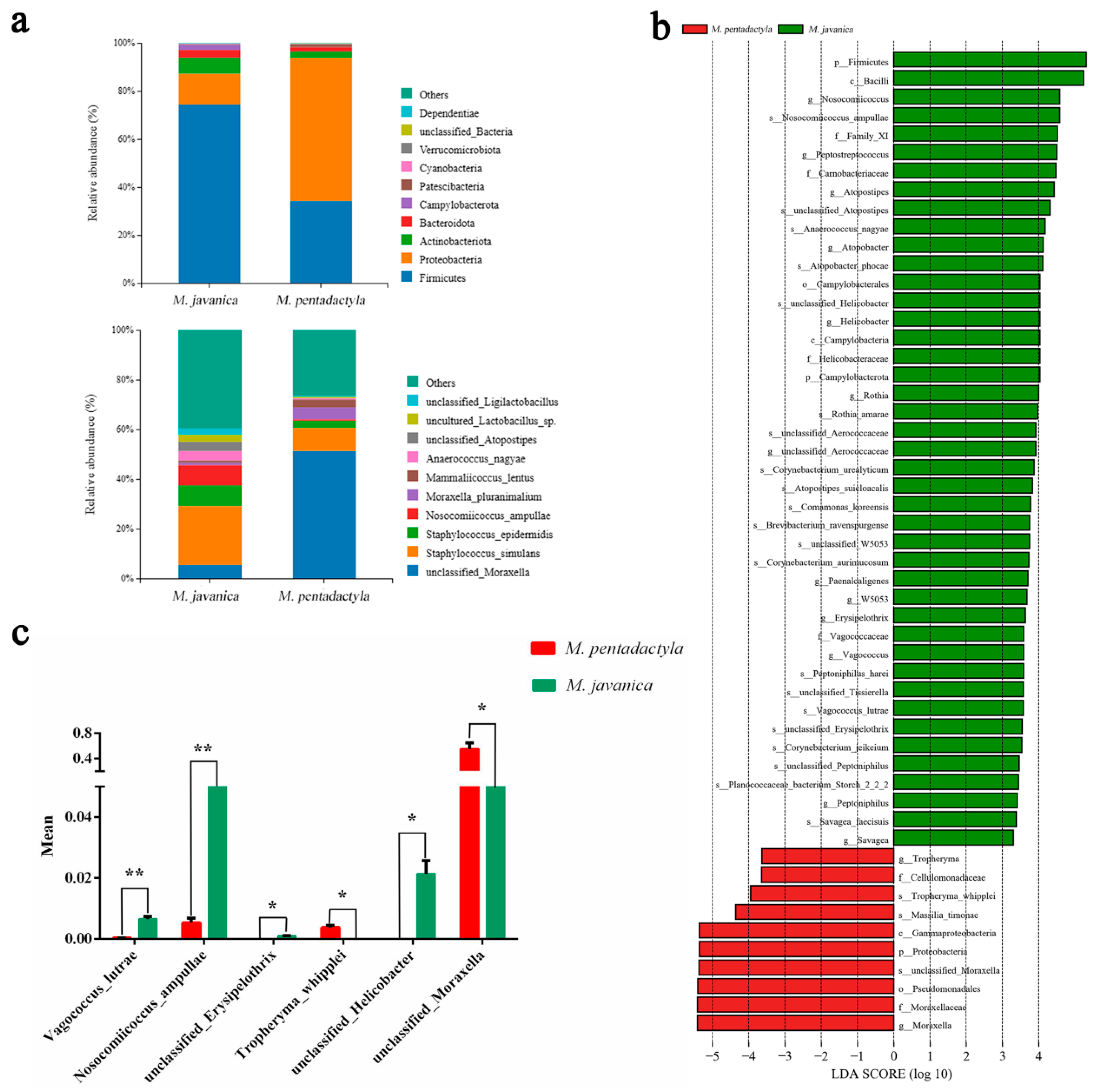 Animals 14 02683 g006