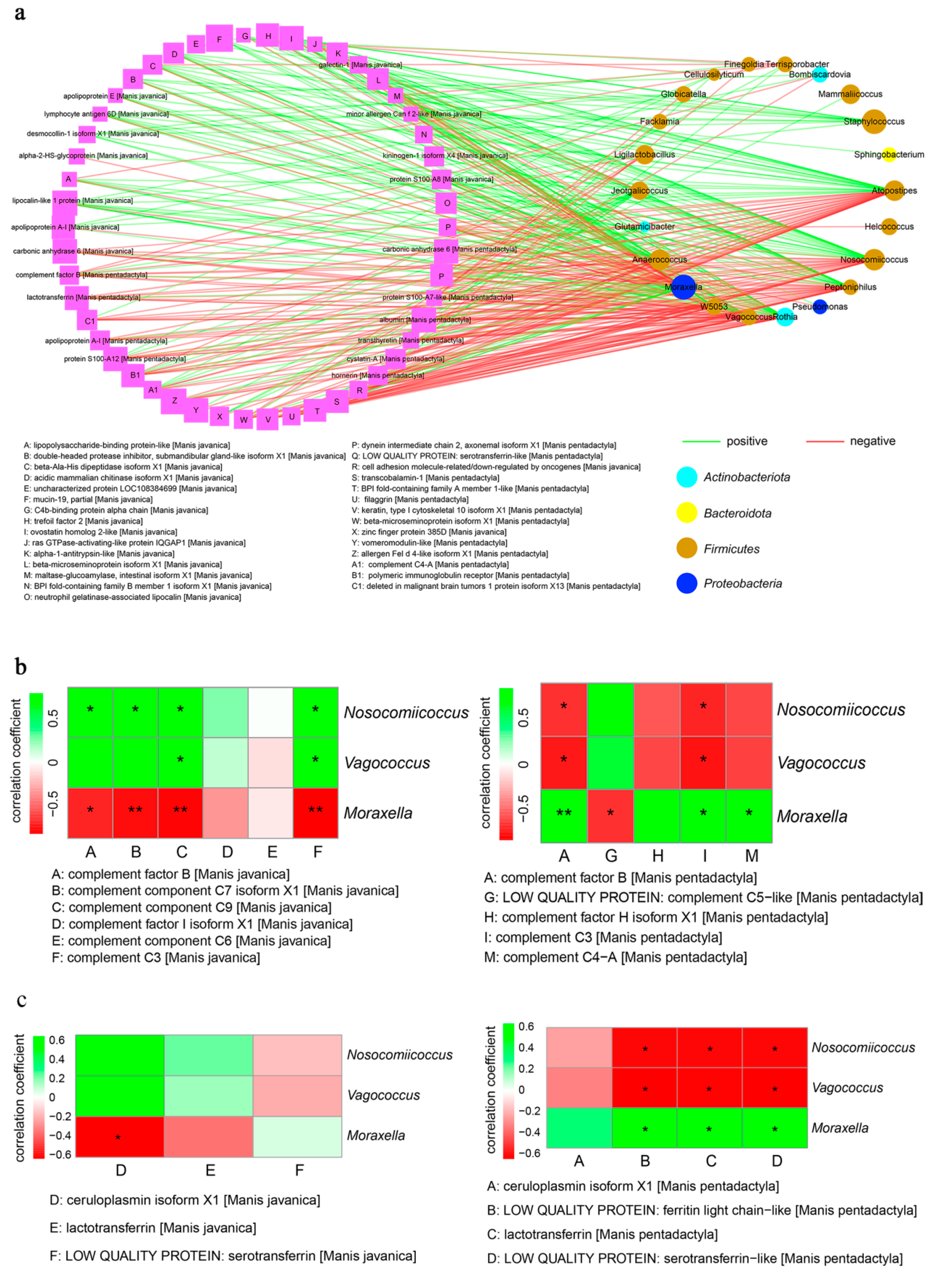 Animals 14 02683 g008