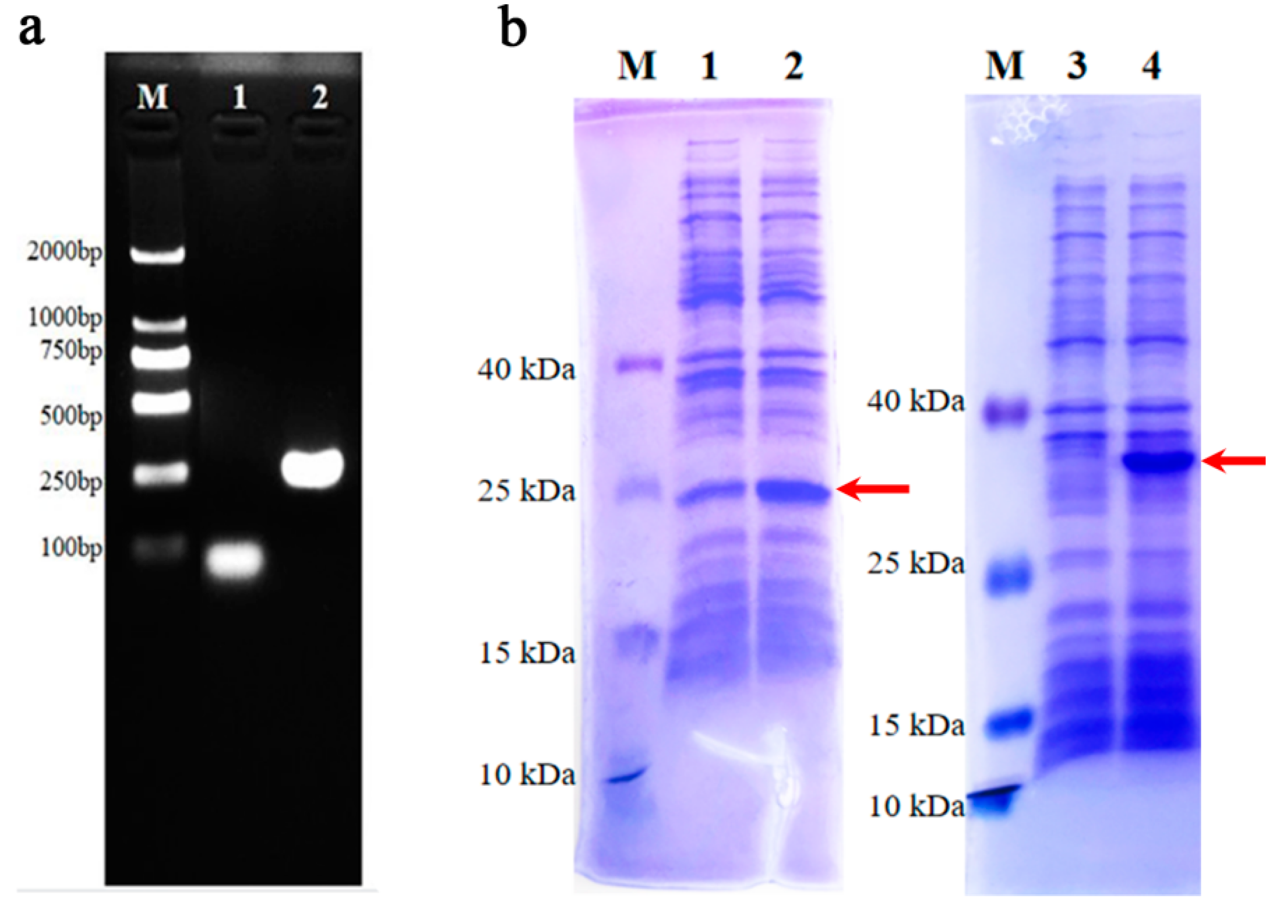 Animals 14 02683 g010