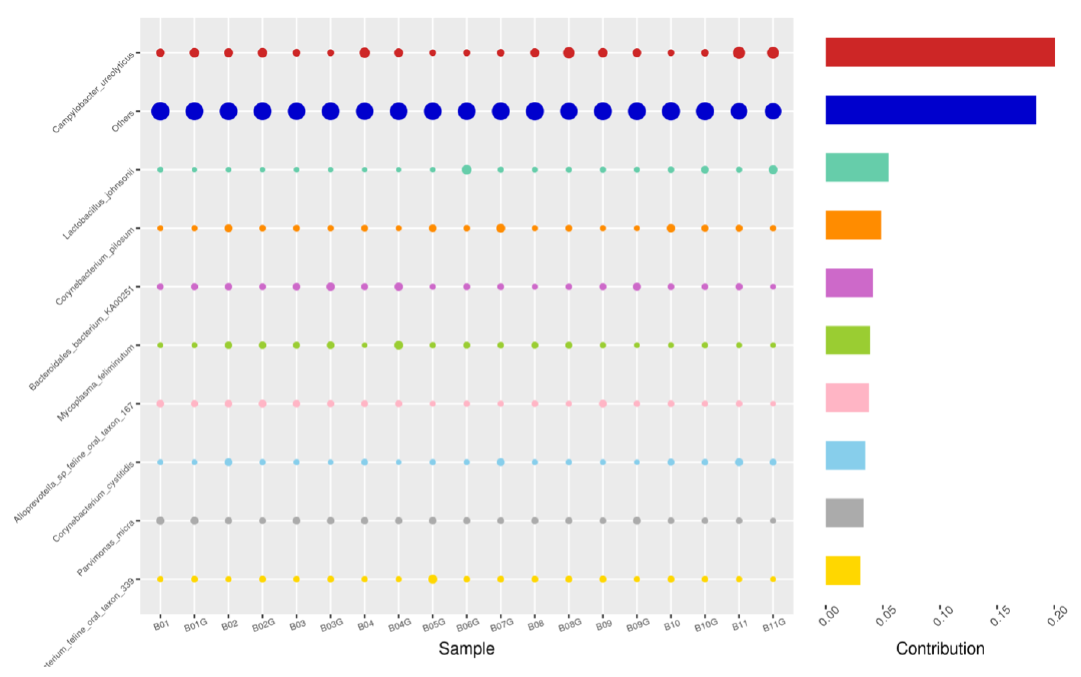 Animals 14 02689 g006