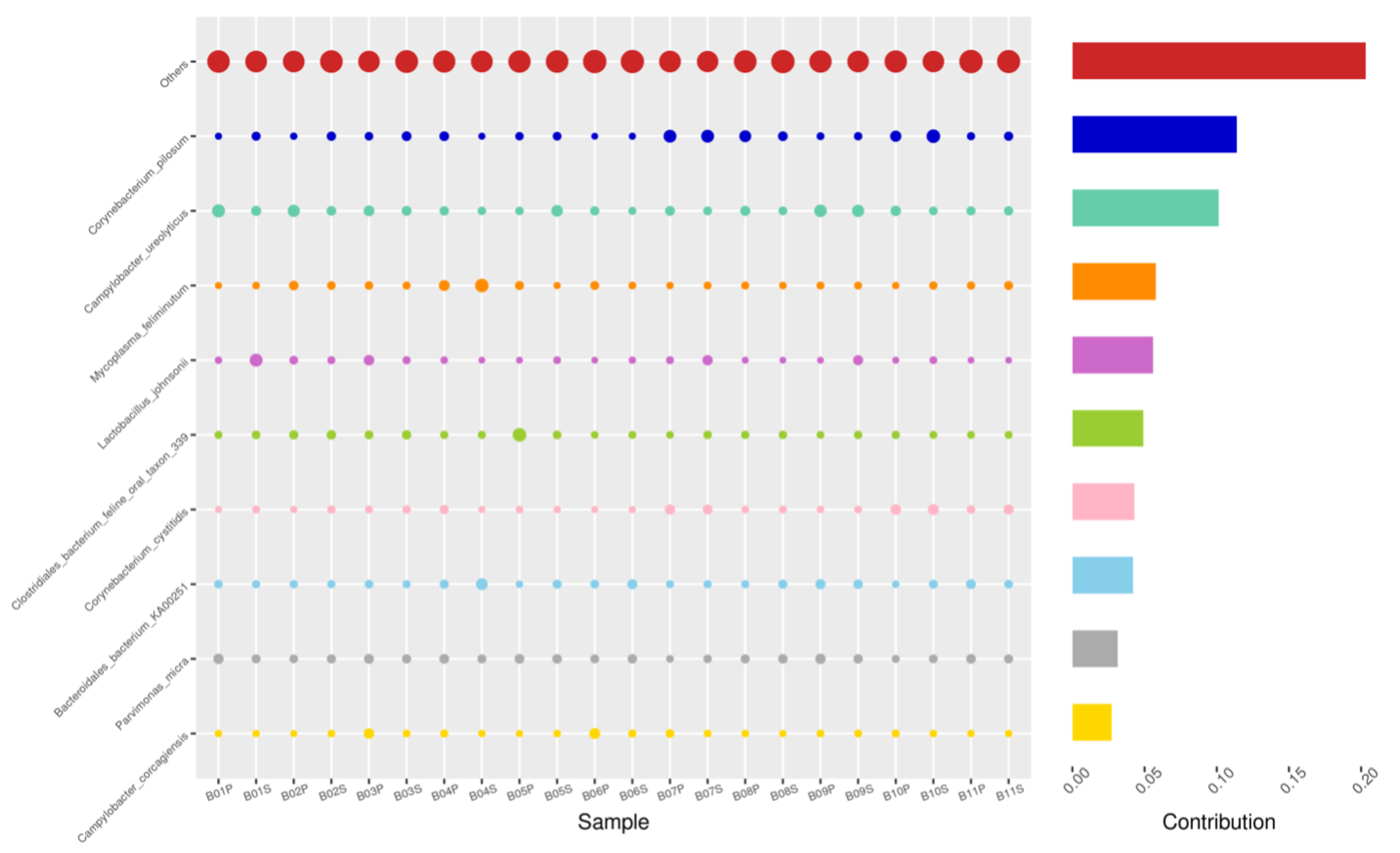 Animals 14 02689 g011