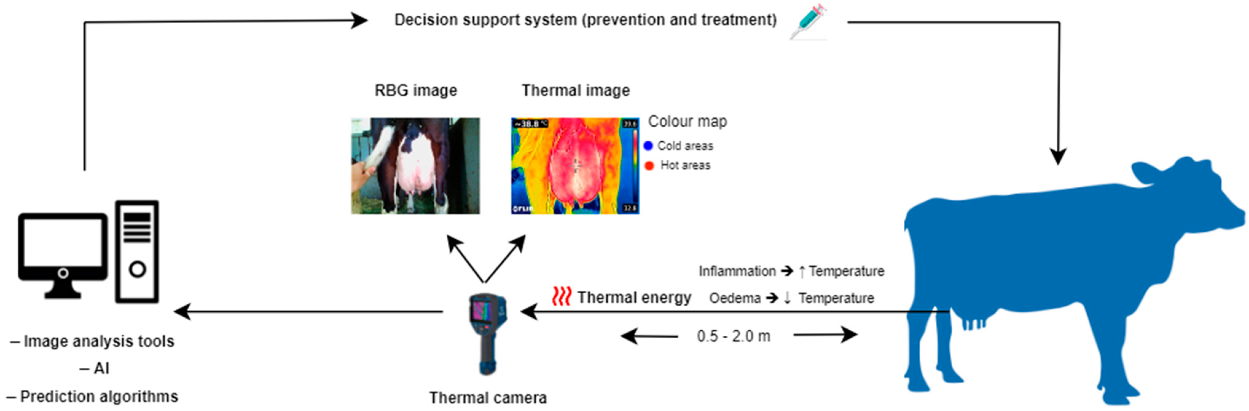 Animals 14 02691 g001