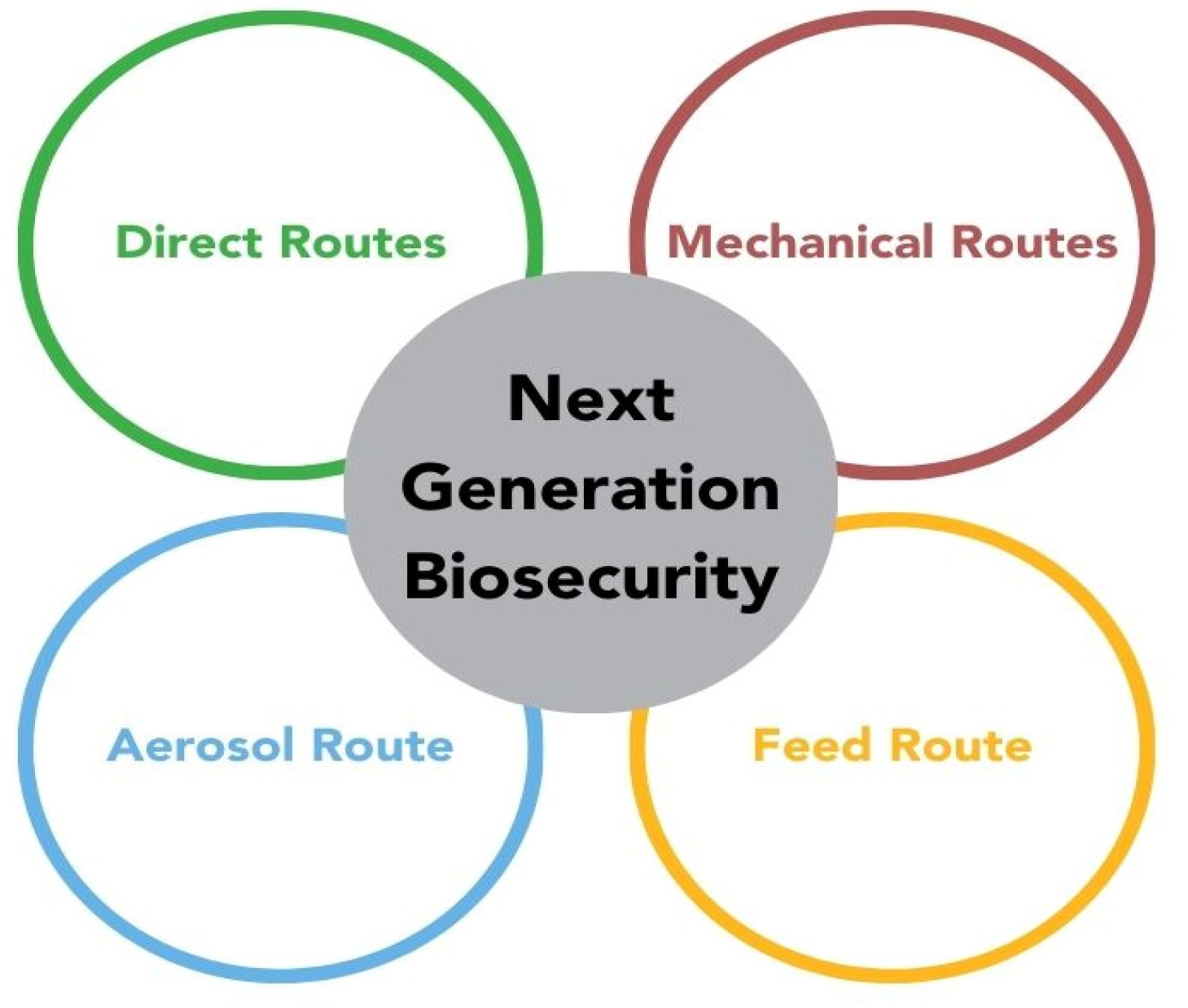 Animals 14 02694 g001