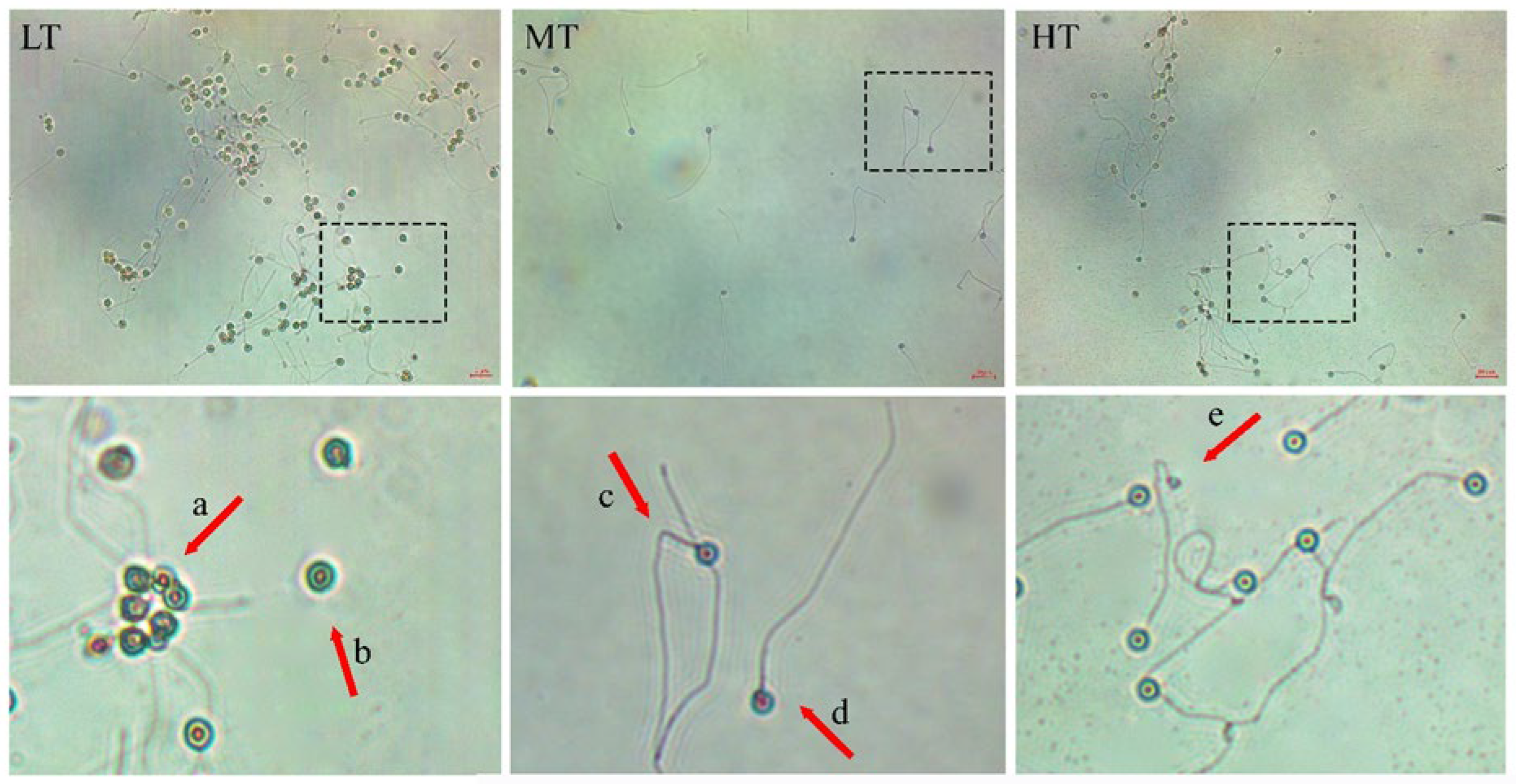 Animals 14 02701 g002 Animals 14 02701 g002