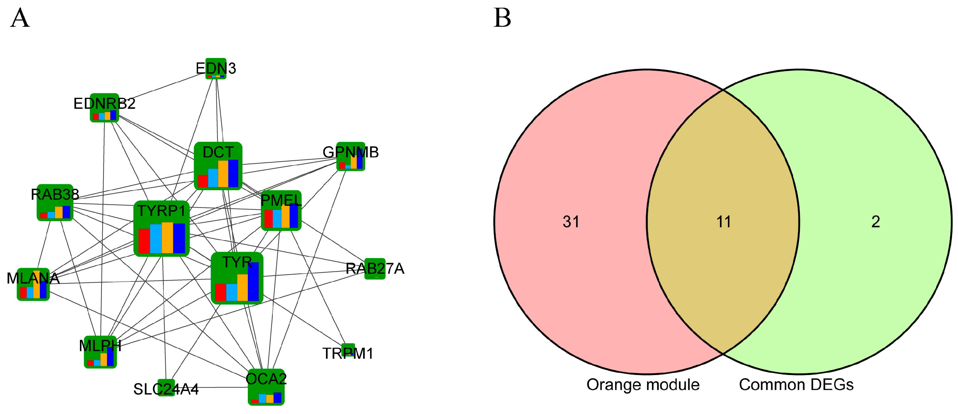Animals 14 02702 g006 Animals 14 02702 g006