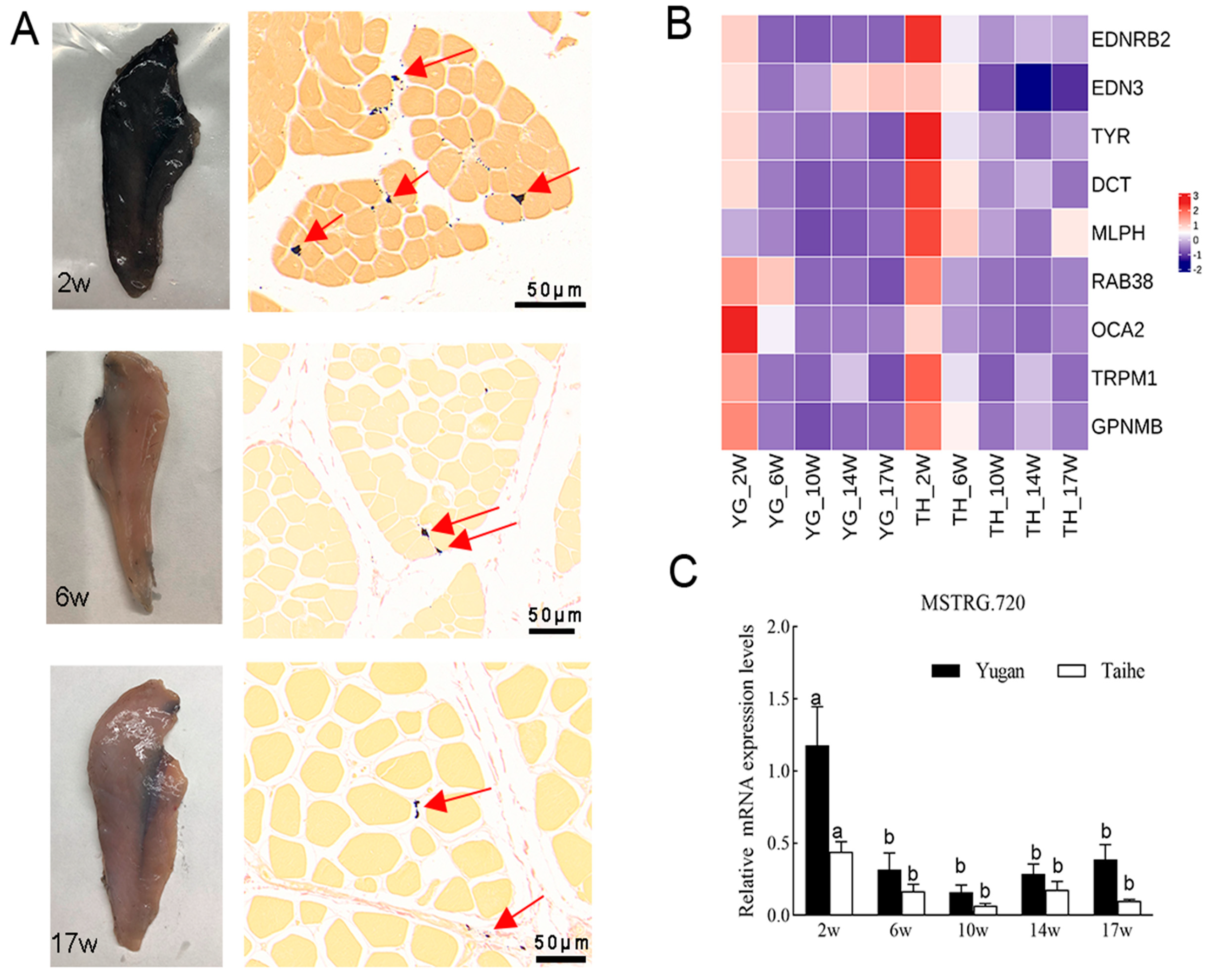 Animals 14 02702 g007 Animals 14 02702 g007