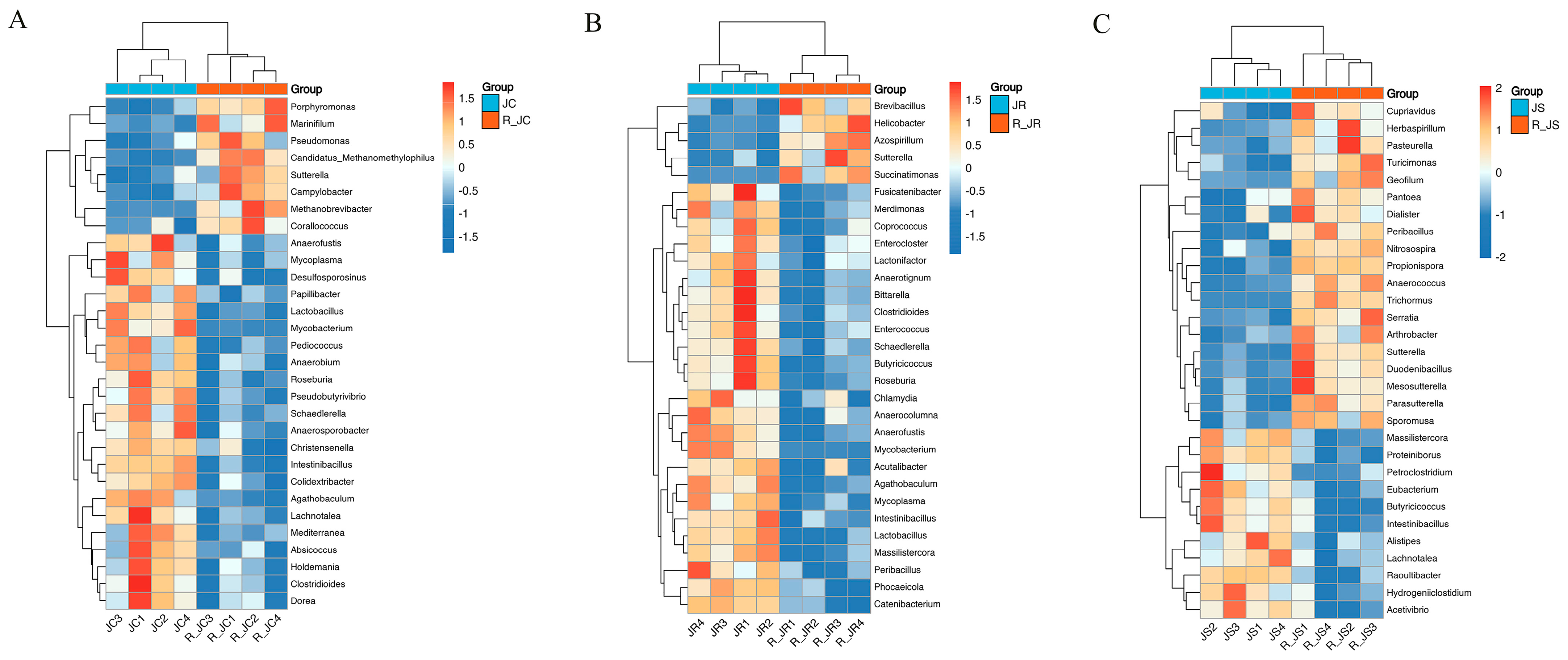 Animals 14 02709 g004
