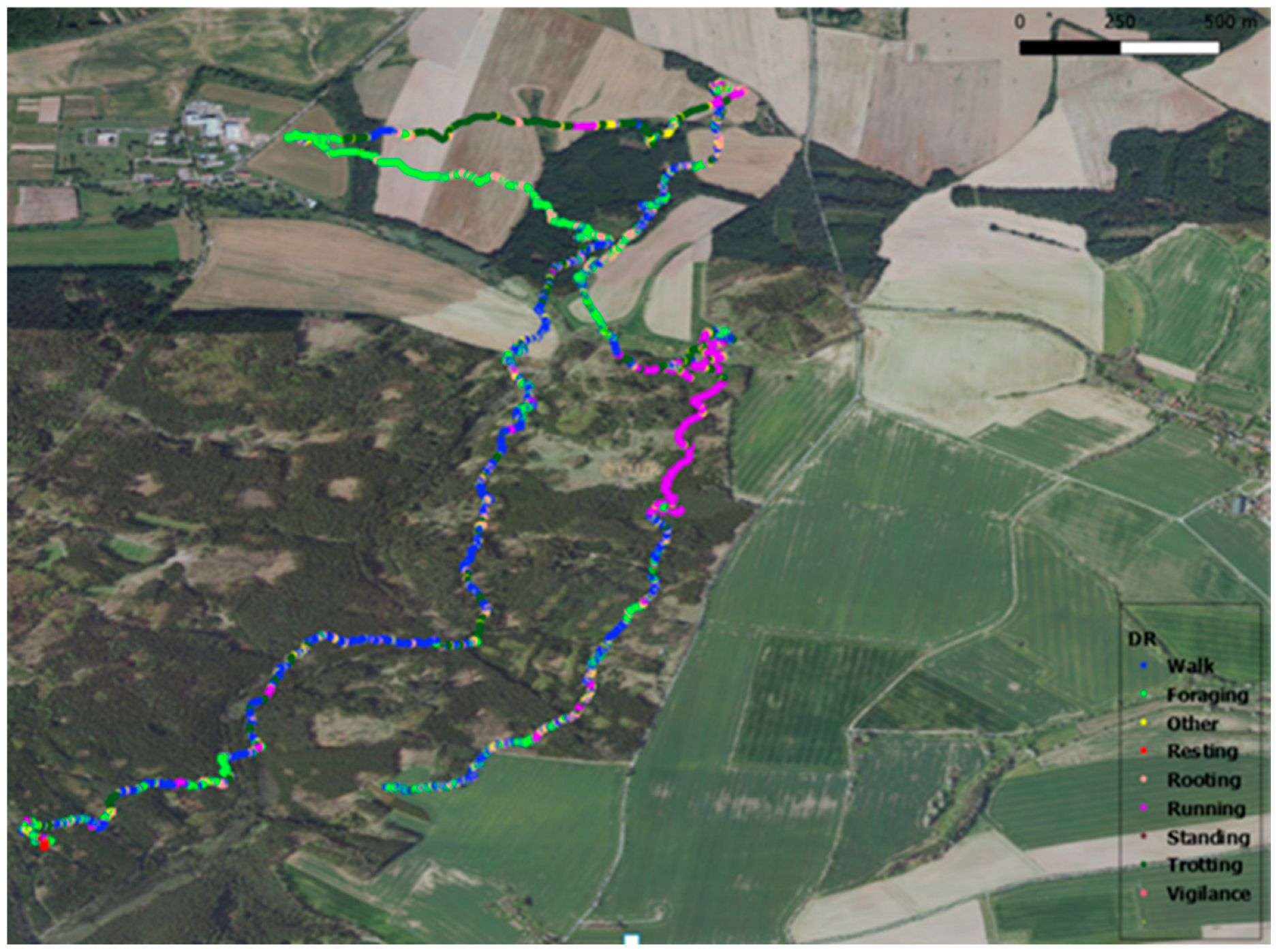 Animals 14 02710 g001