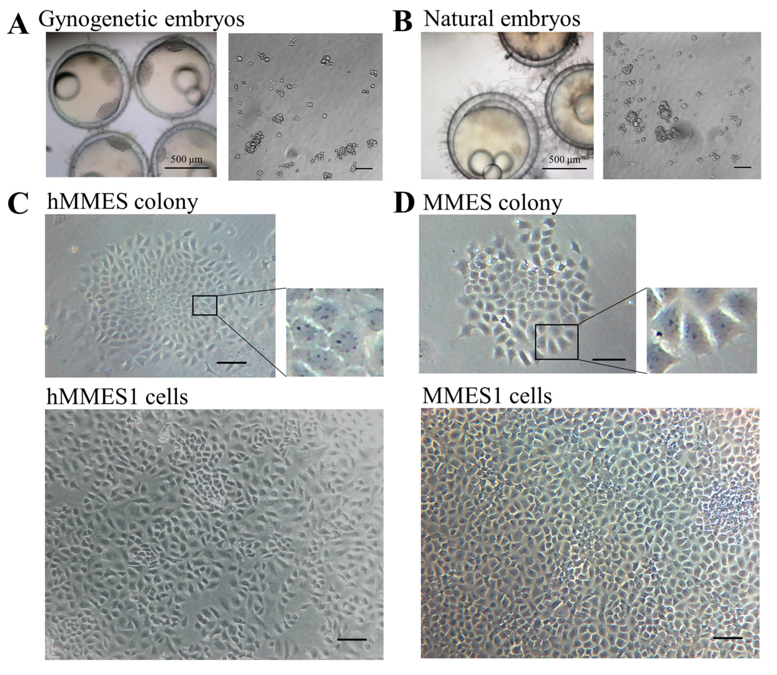 Animals 14 02739 g001 Animals 14 02739 g001