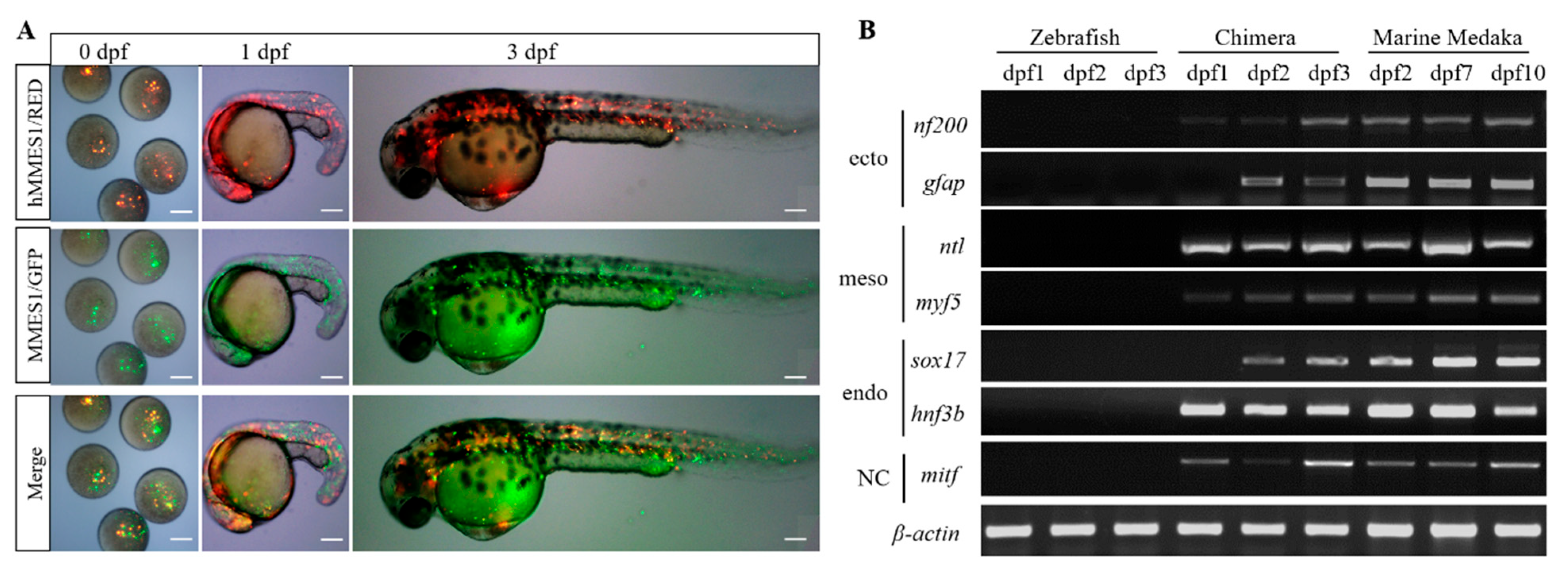Animals 14 02739 g004 Animals 14 02739 g004