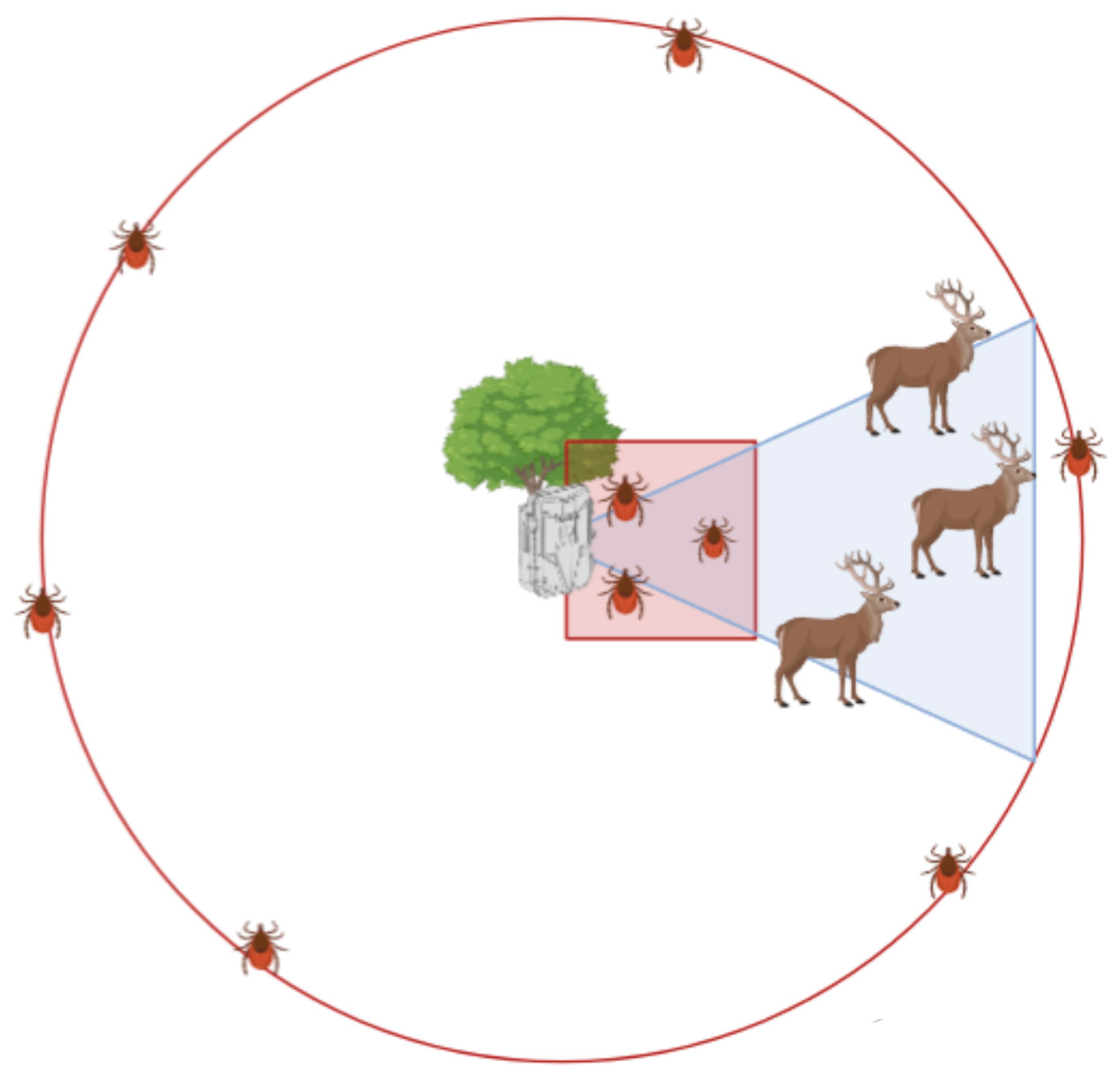 Animals 14 02749 g002