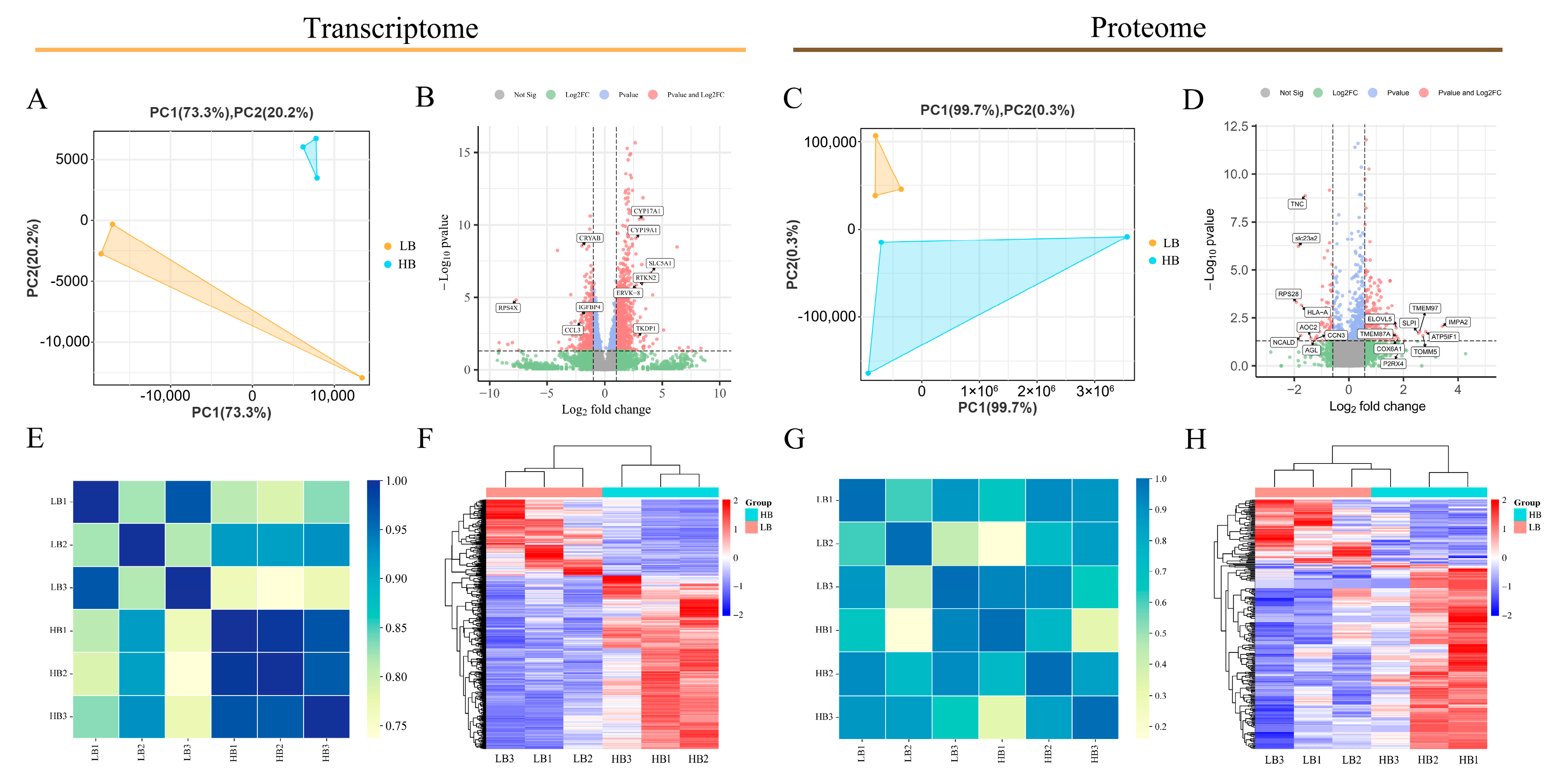 Animals 14 02751 g002