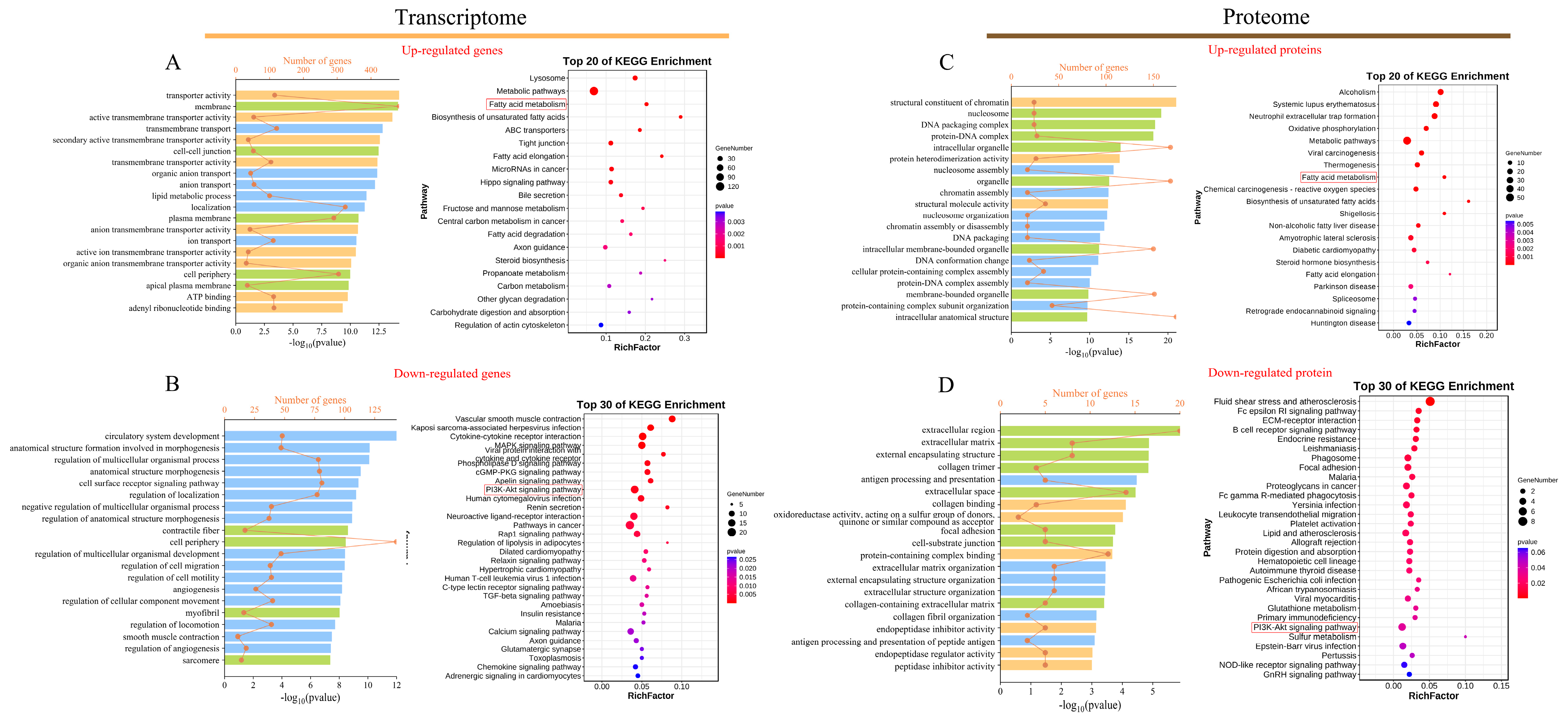 Animals 14 02751 g003