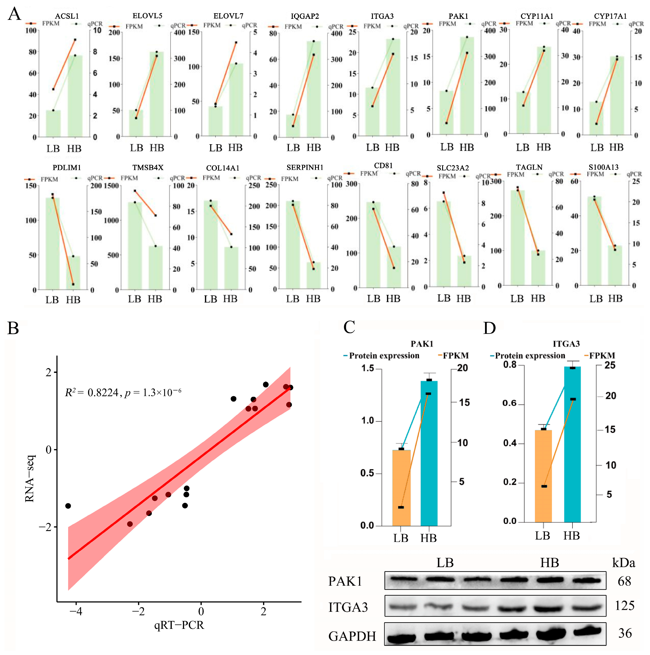 Animals 14 02751 g005