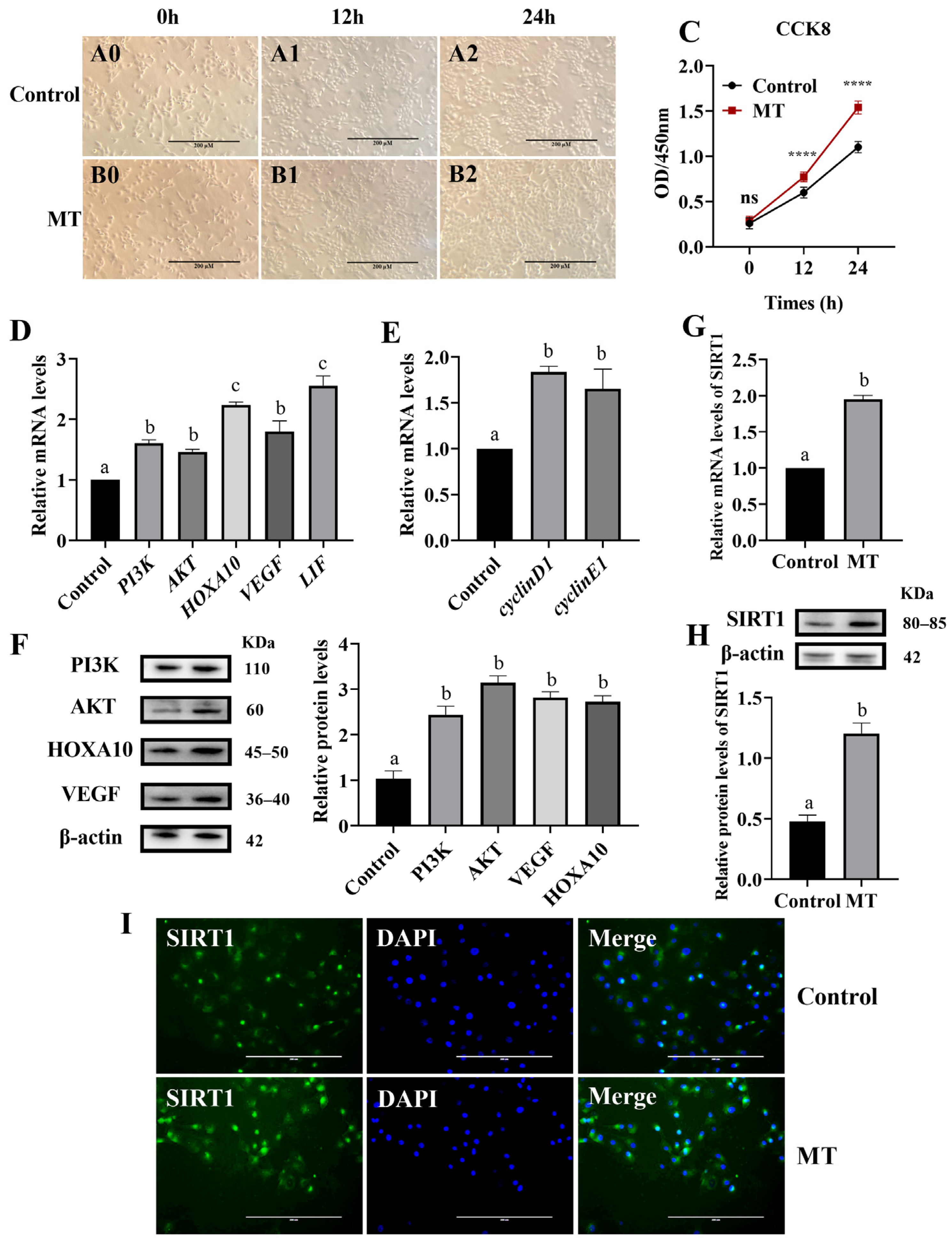 Animals 14 02771 g001