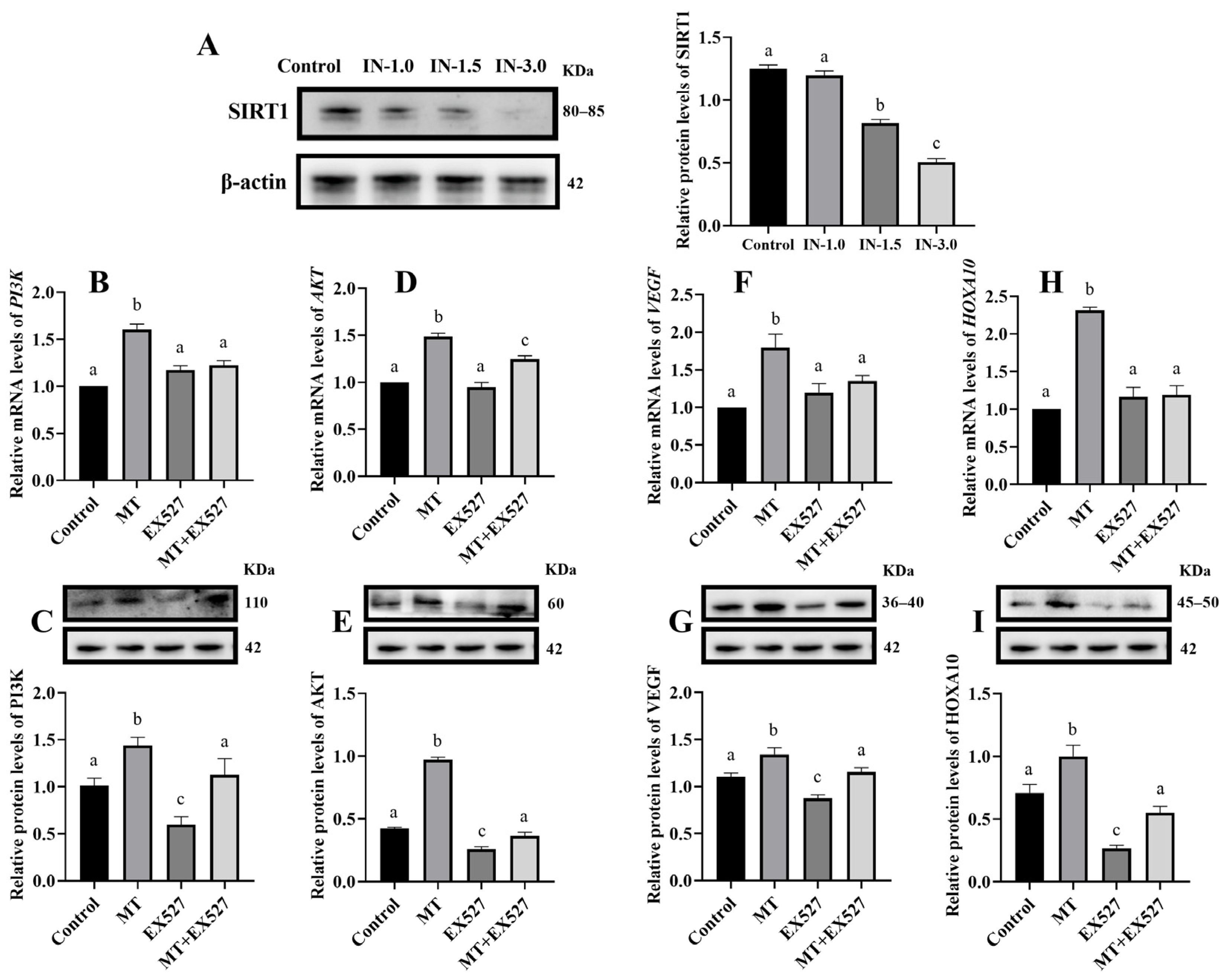 Animals 14 02771 g002