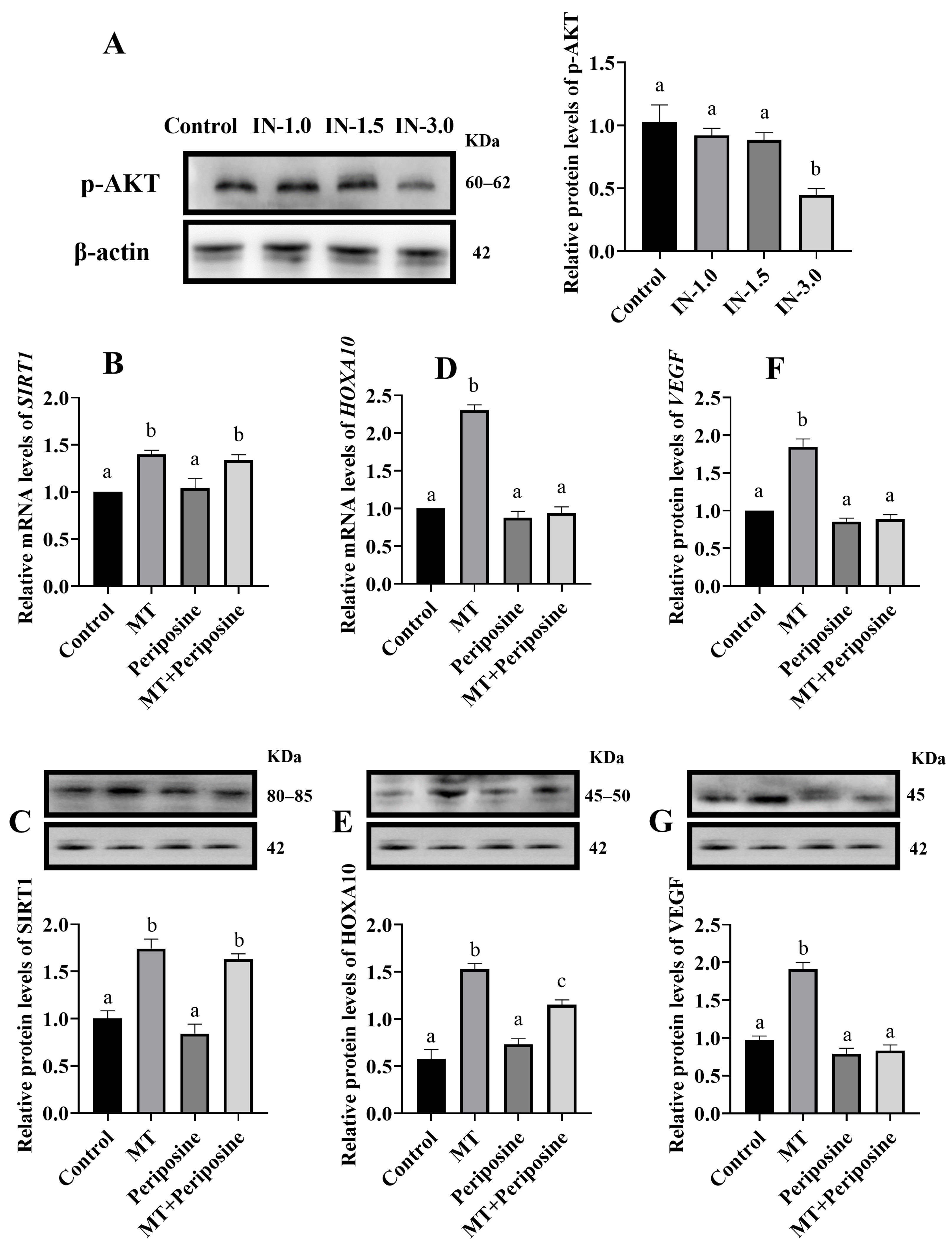 Animals 14 02771 g003