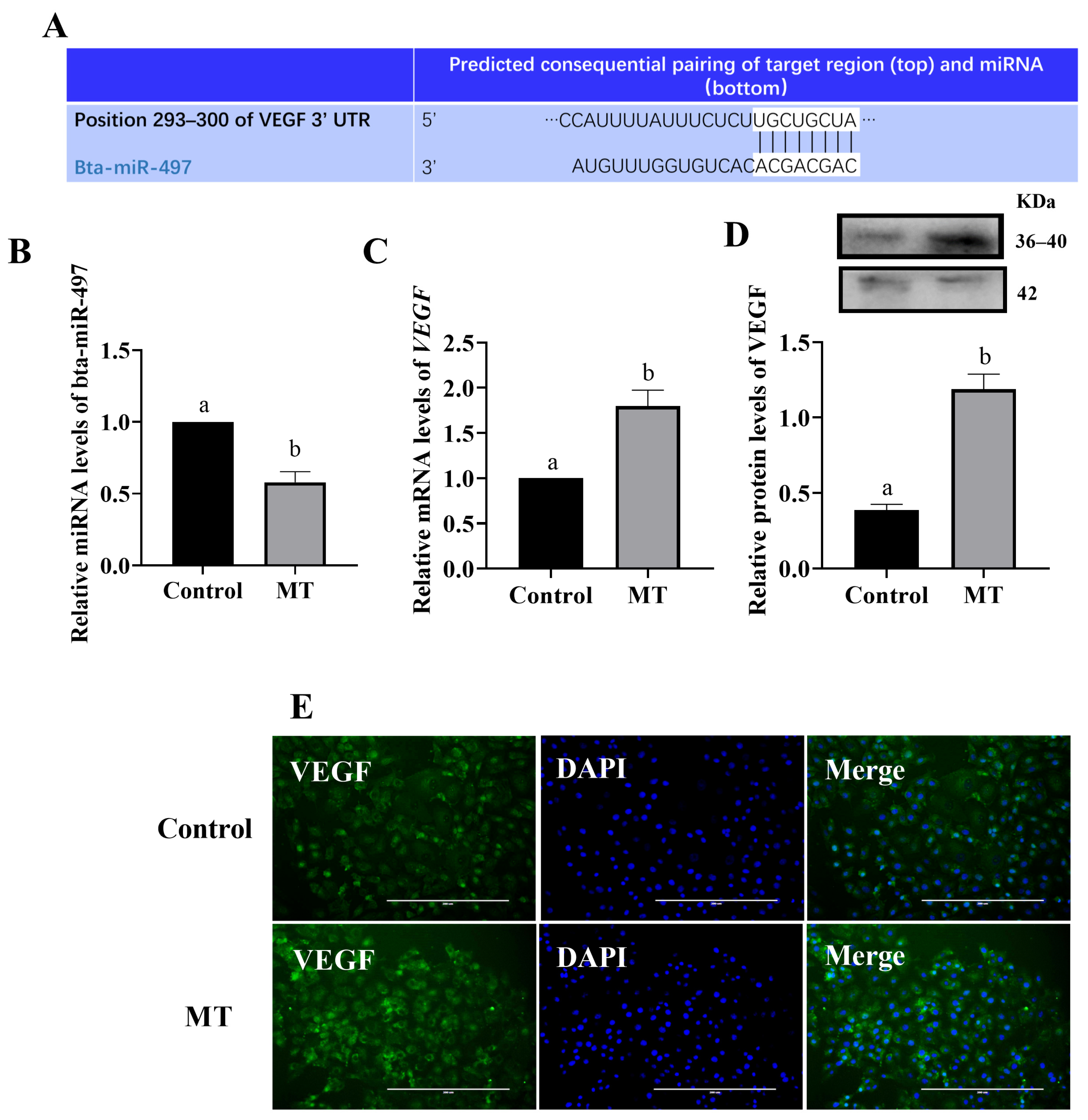 Animals 14 02771 g004