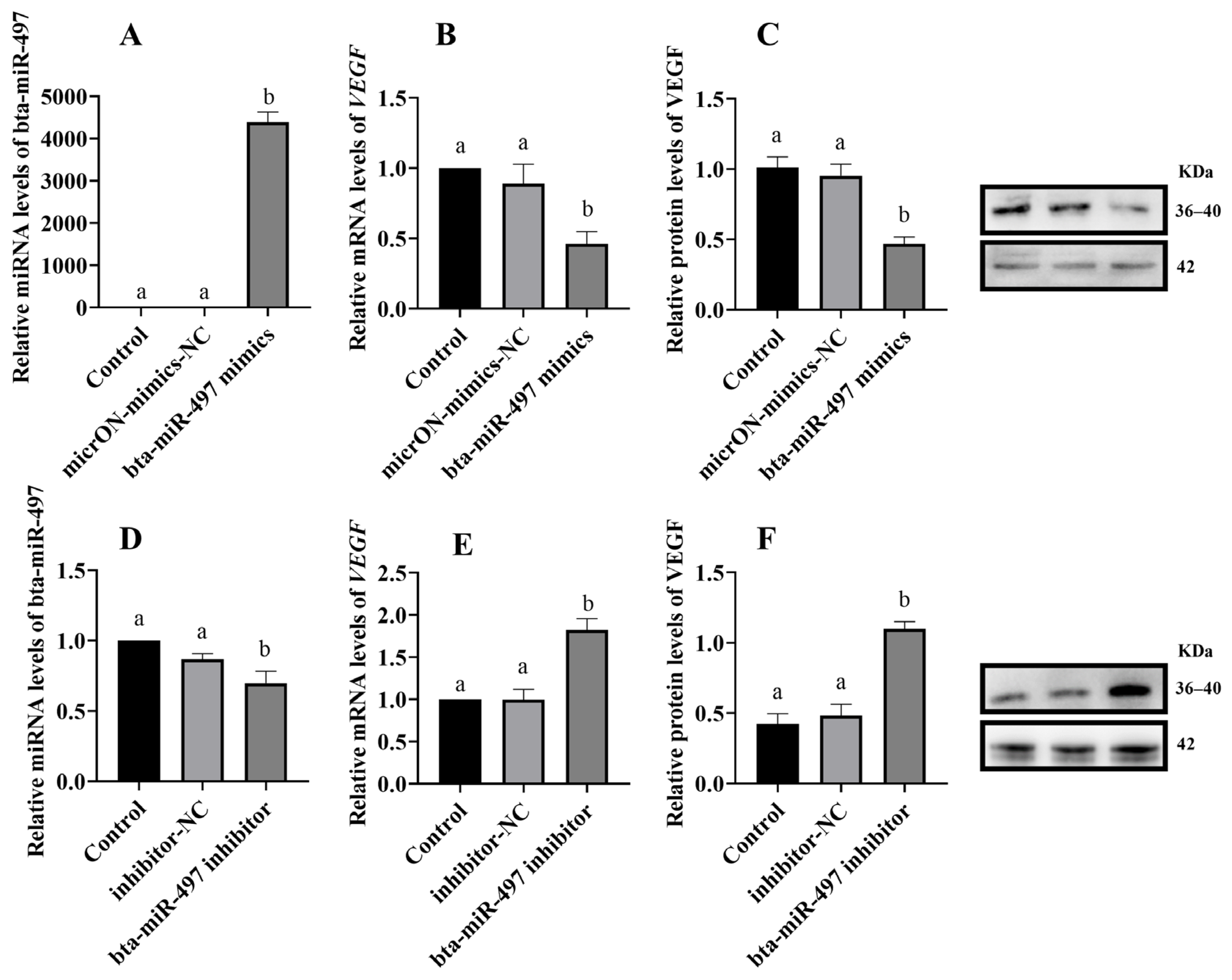 Animals 14 02771 g005