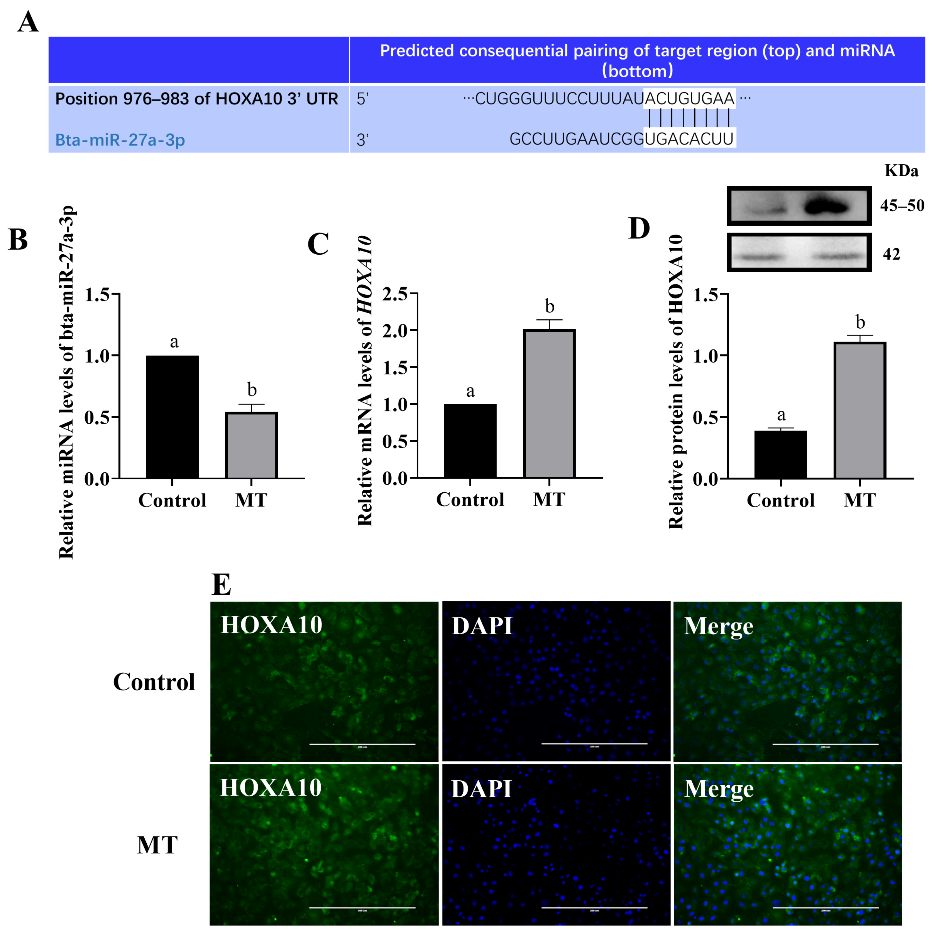 Animals 14 02771 g006