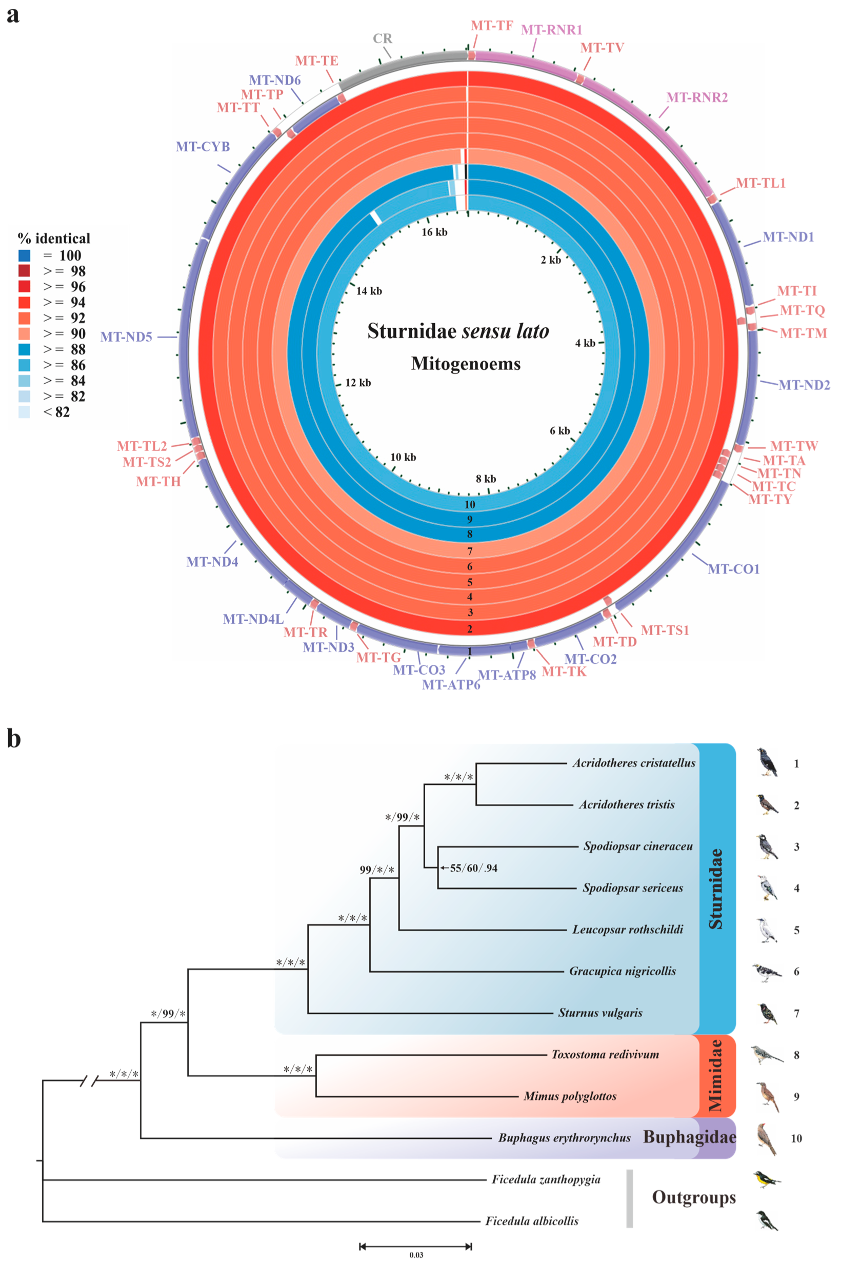 Animals 14 02777 g001