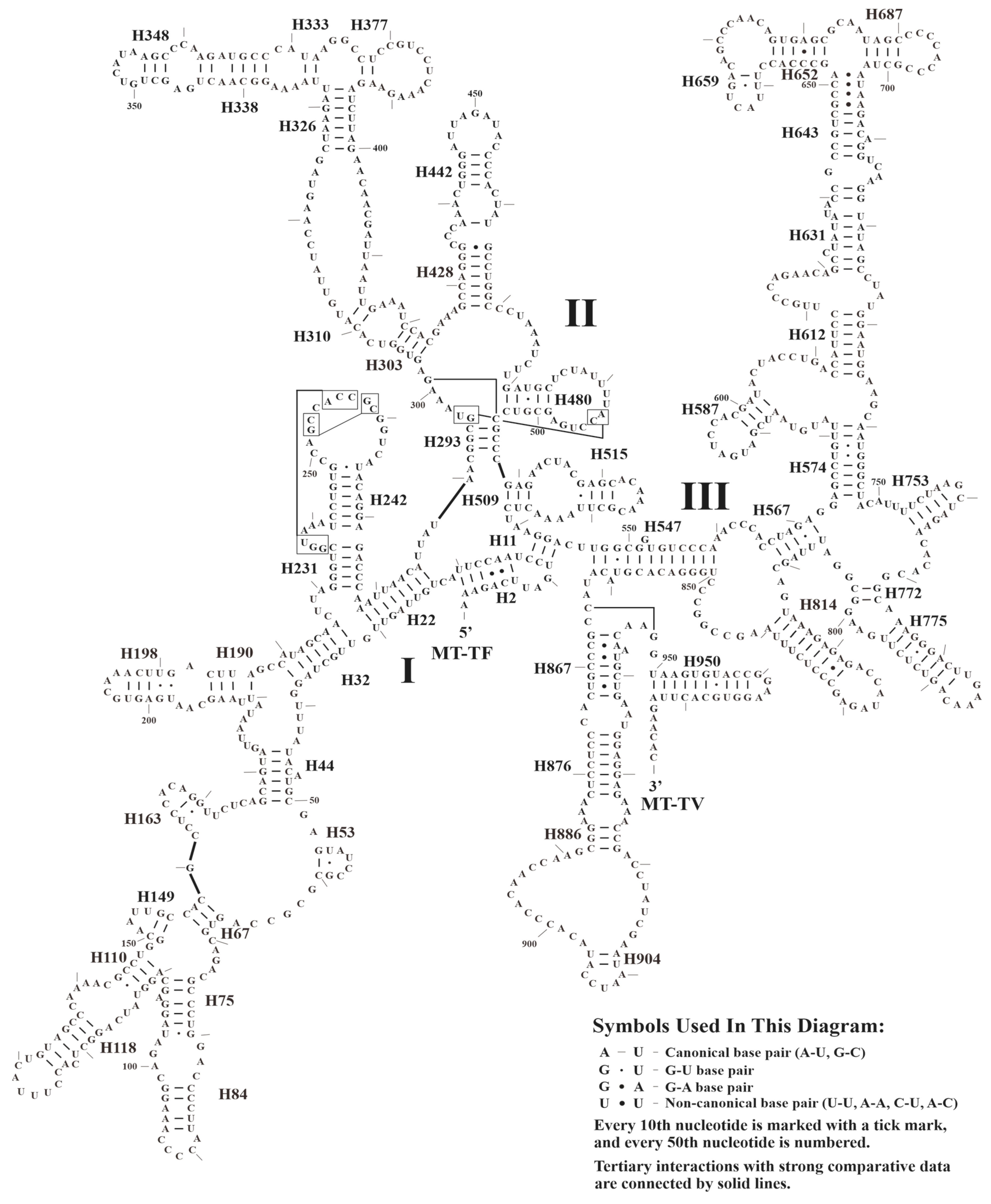 Animals 14 02777 g005