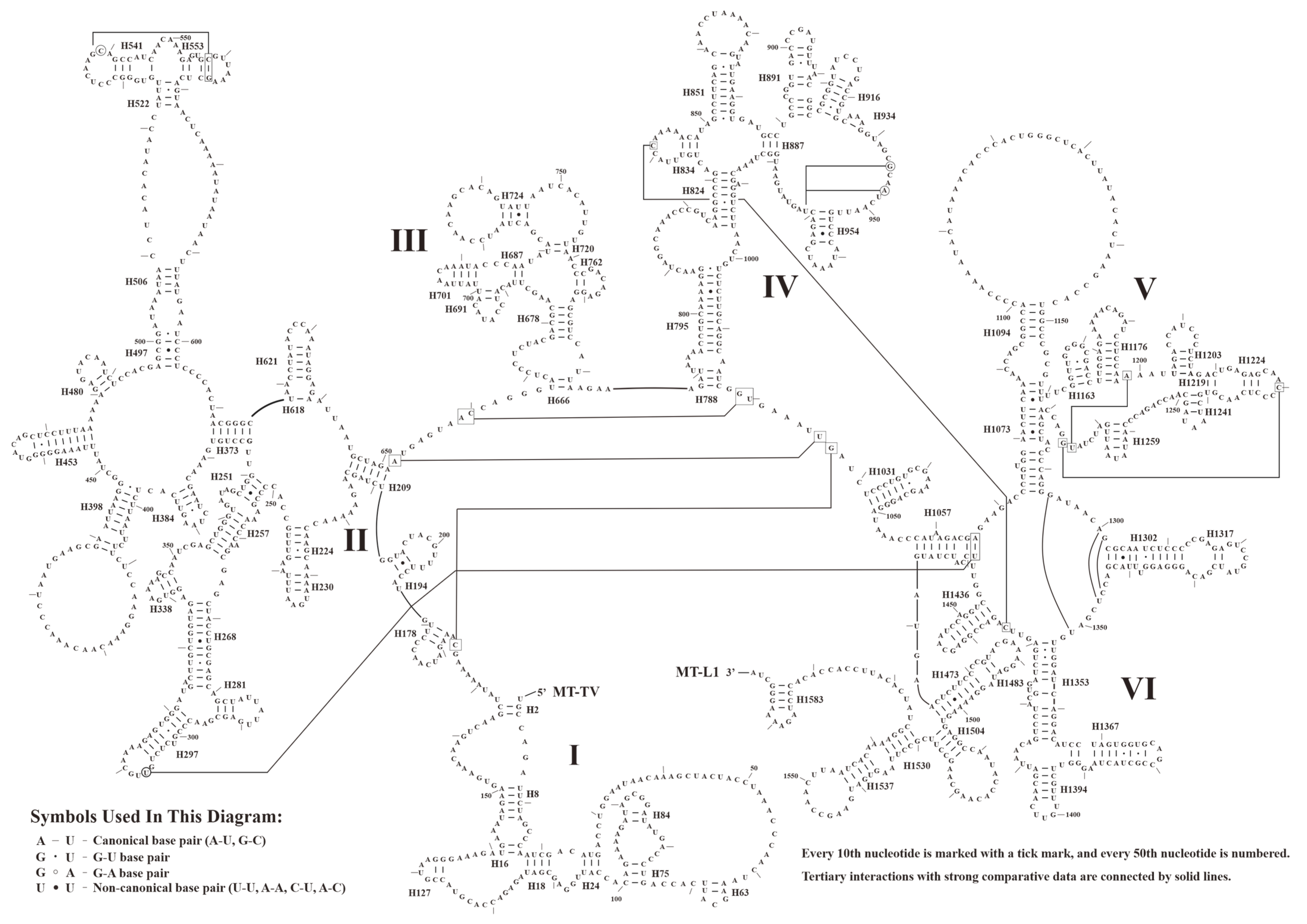 Animals 14 02777 g006