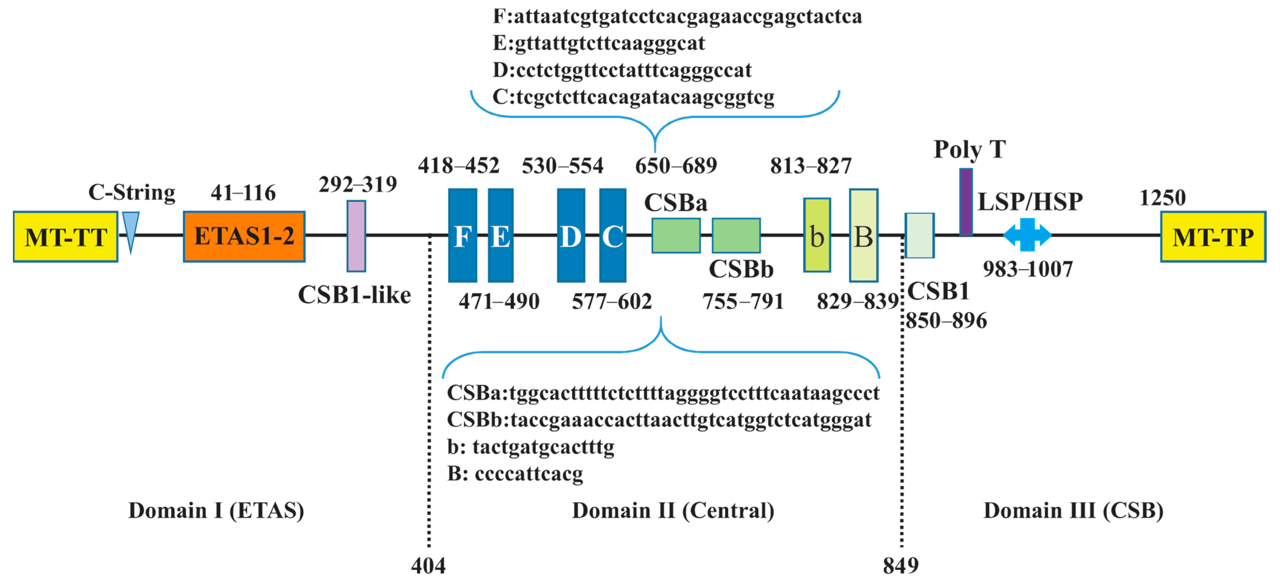 Animals 14 02777 g007