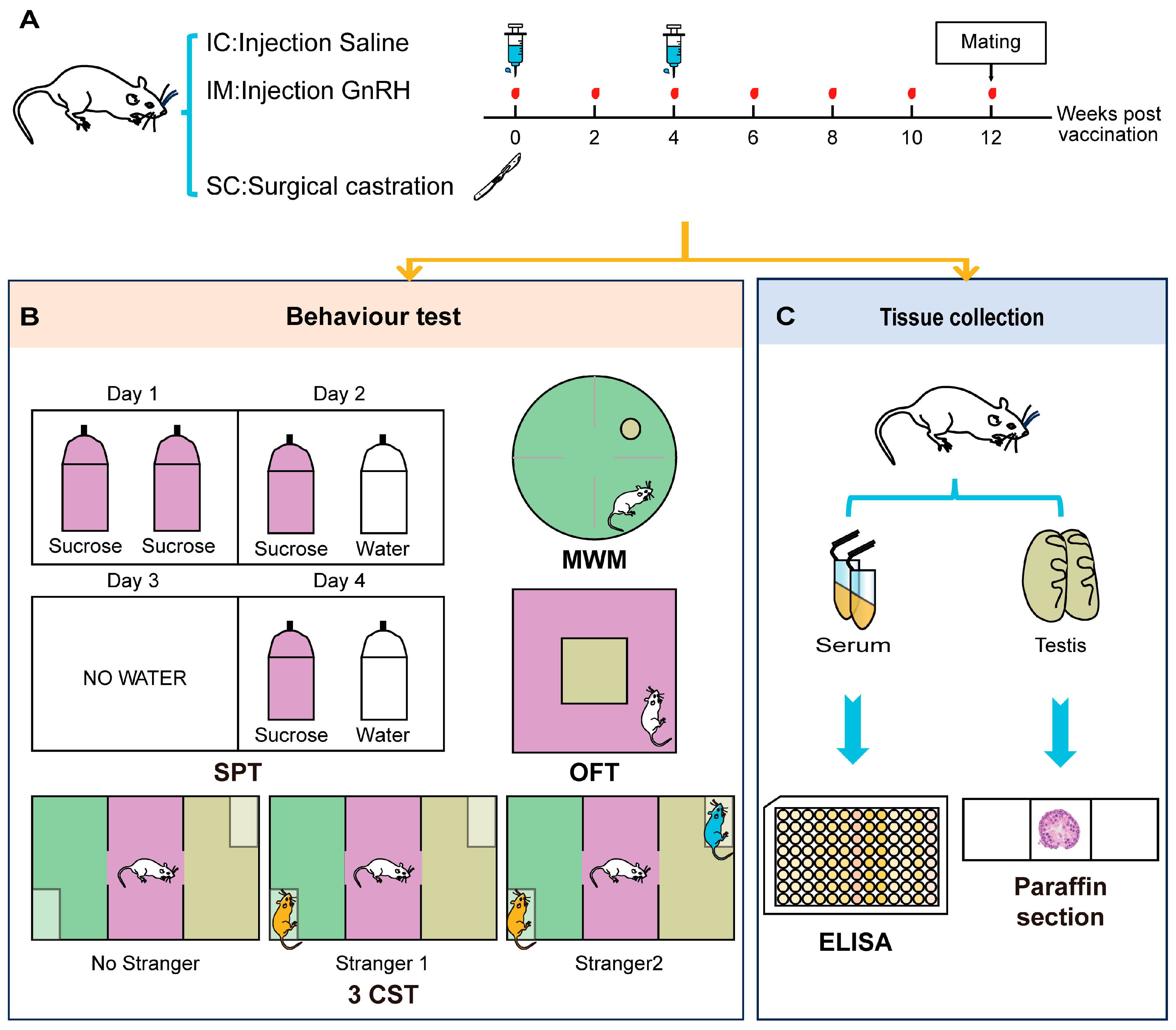 Animals 14 02796 g001