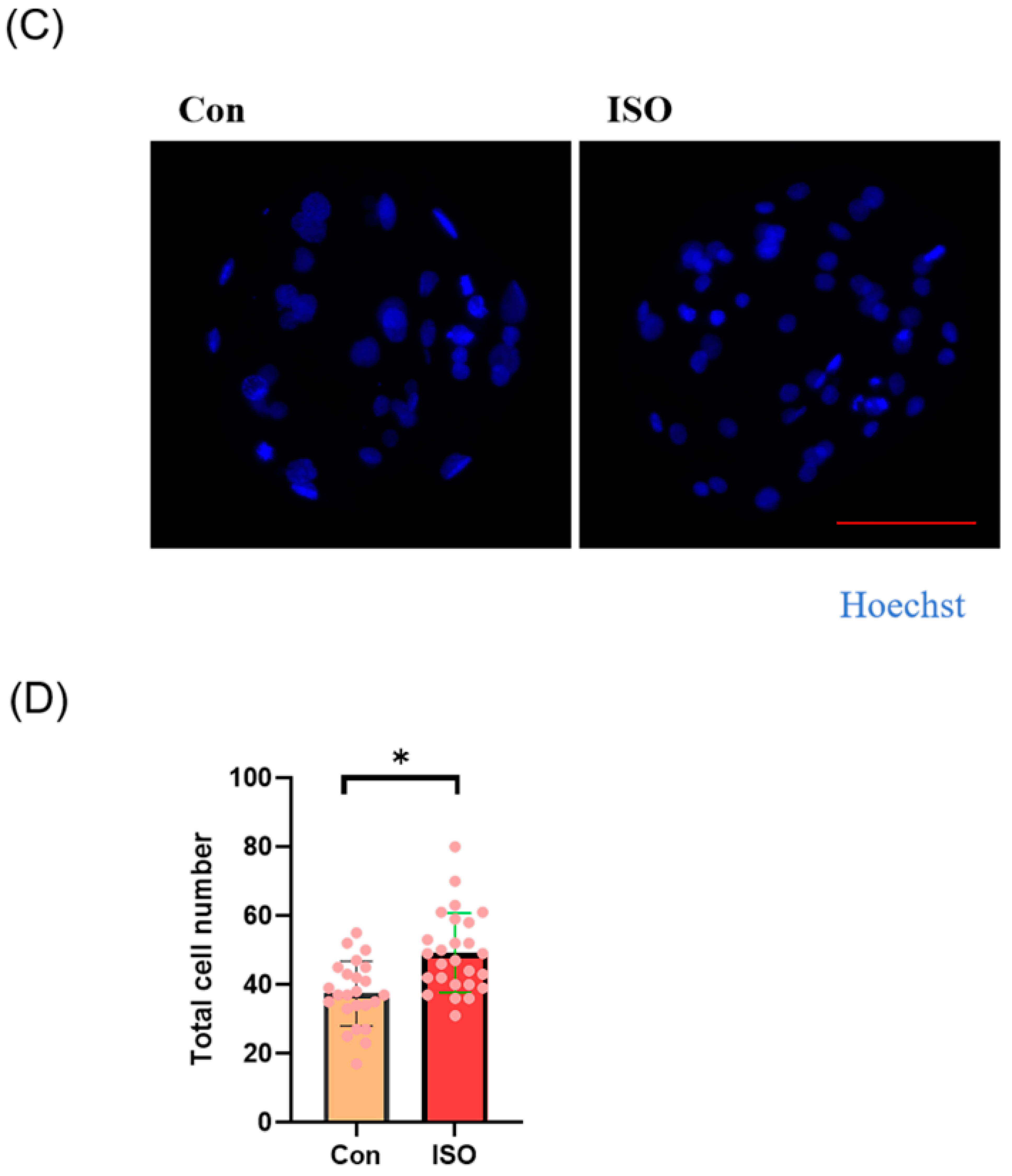 Animals 14 02806 g001b Animals 14 02806 g001b