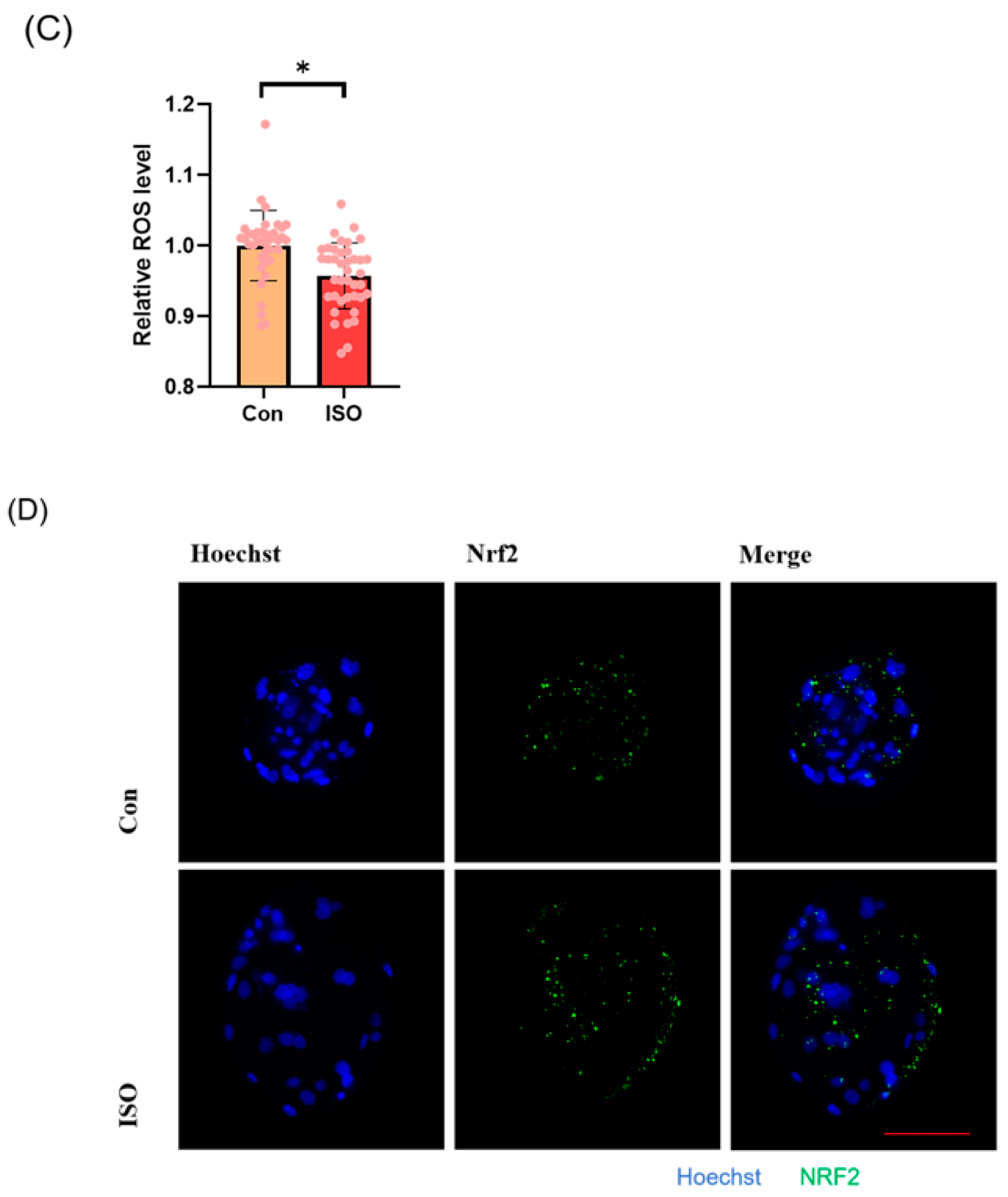 Animals 14 02806 g002b Animals 14 02806 g002b