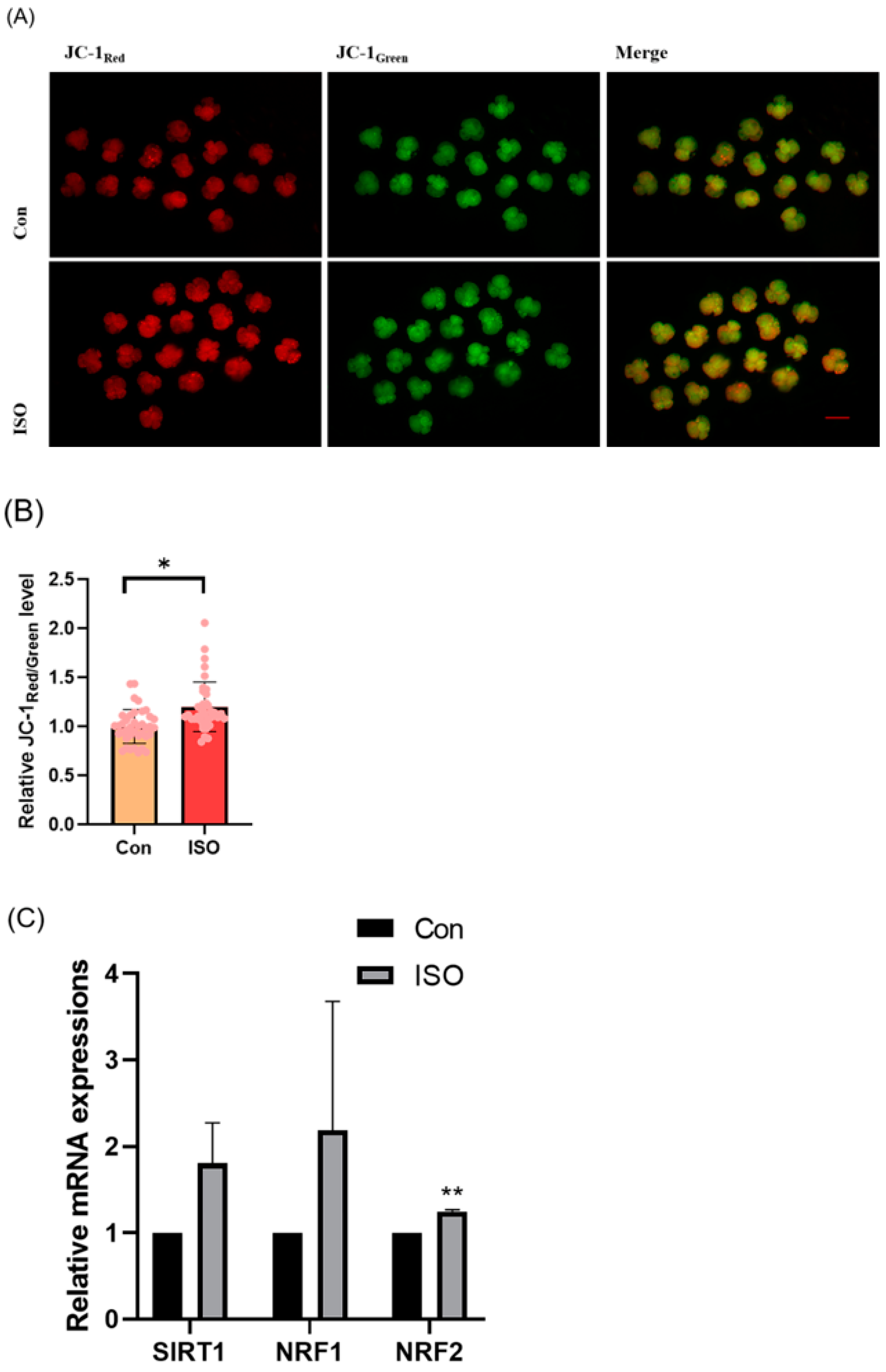 Animals 14 02806 g003 Animals 14 02806 g003
