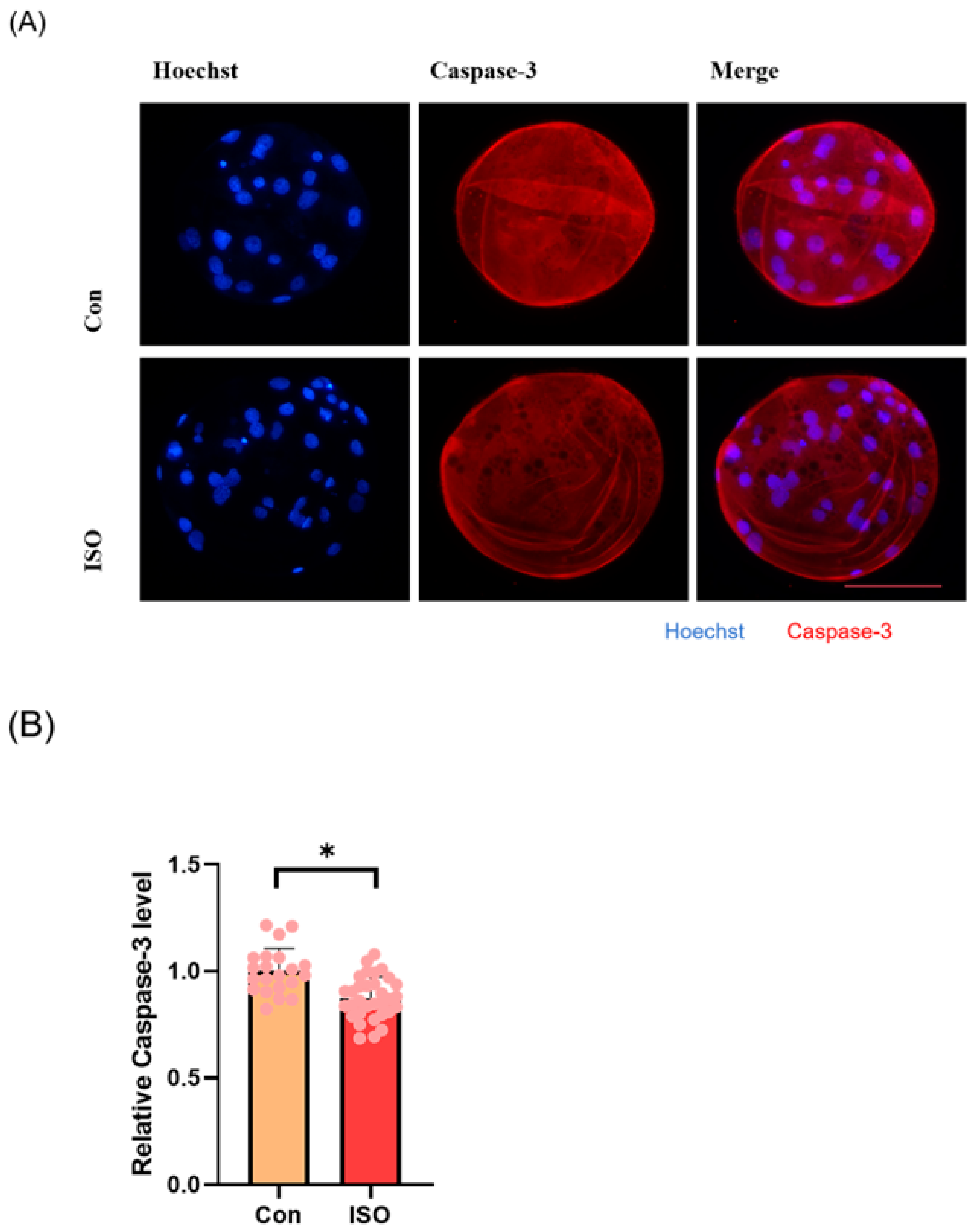 Animals 14 02806 g005a Animals 14 02806 g005a
