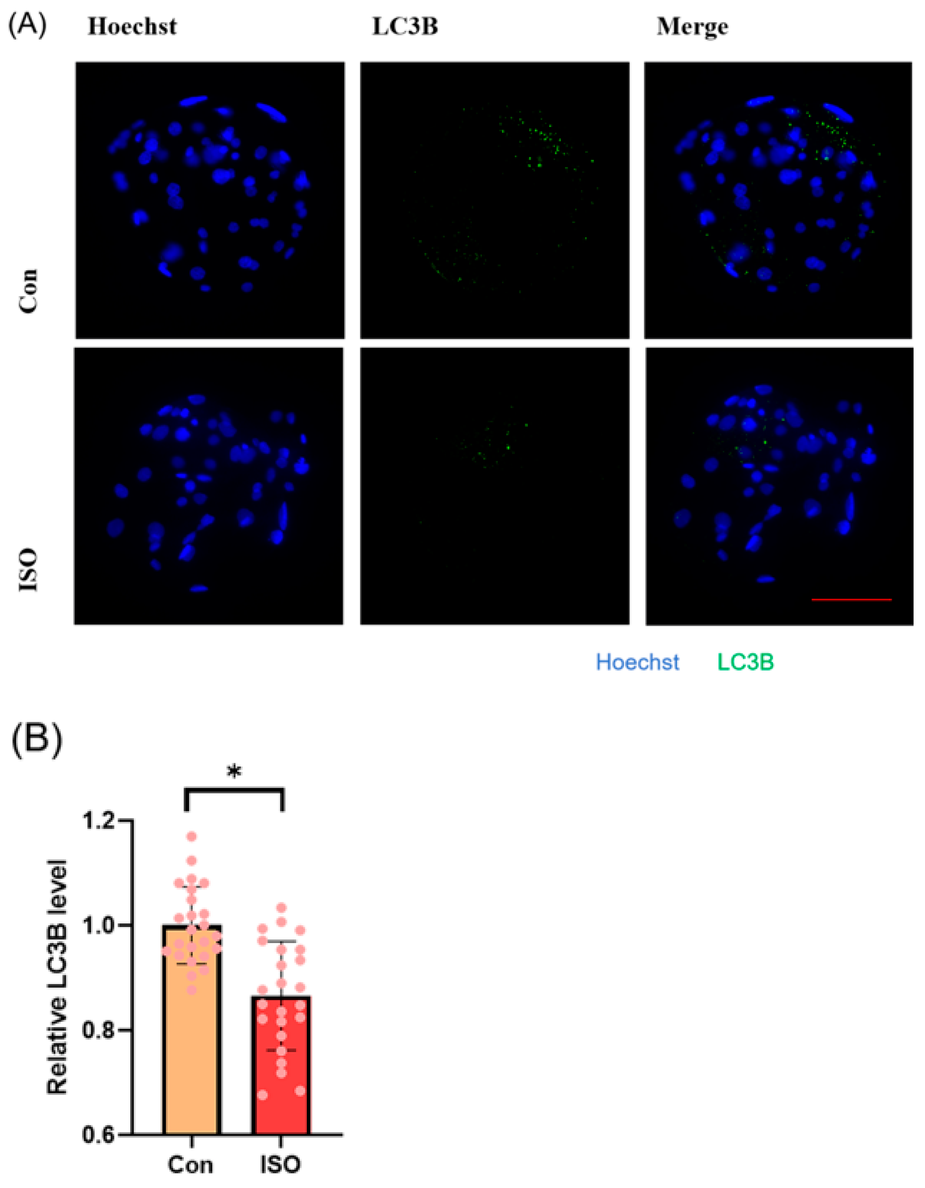 Animals 14 02806 g006a Animals 14 02806 g006a