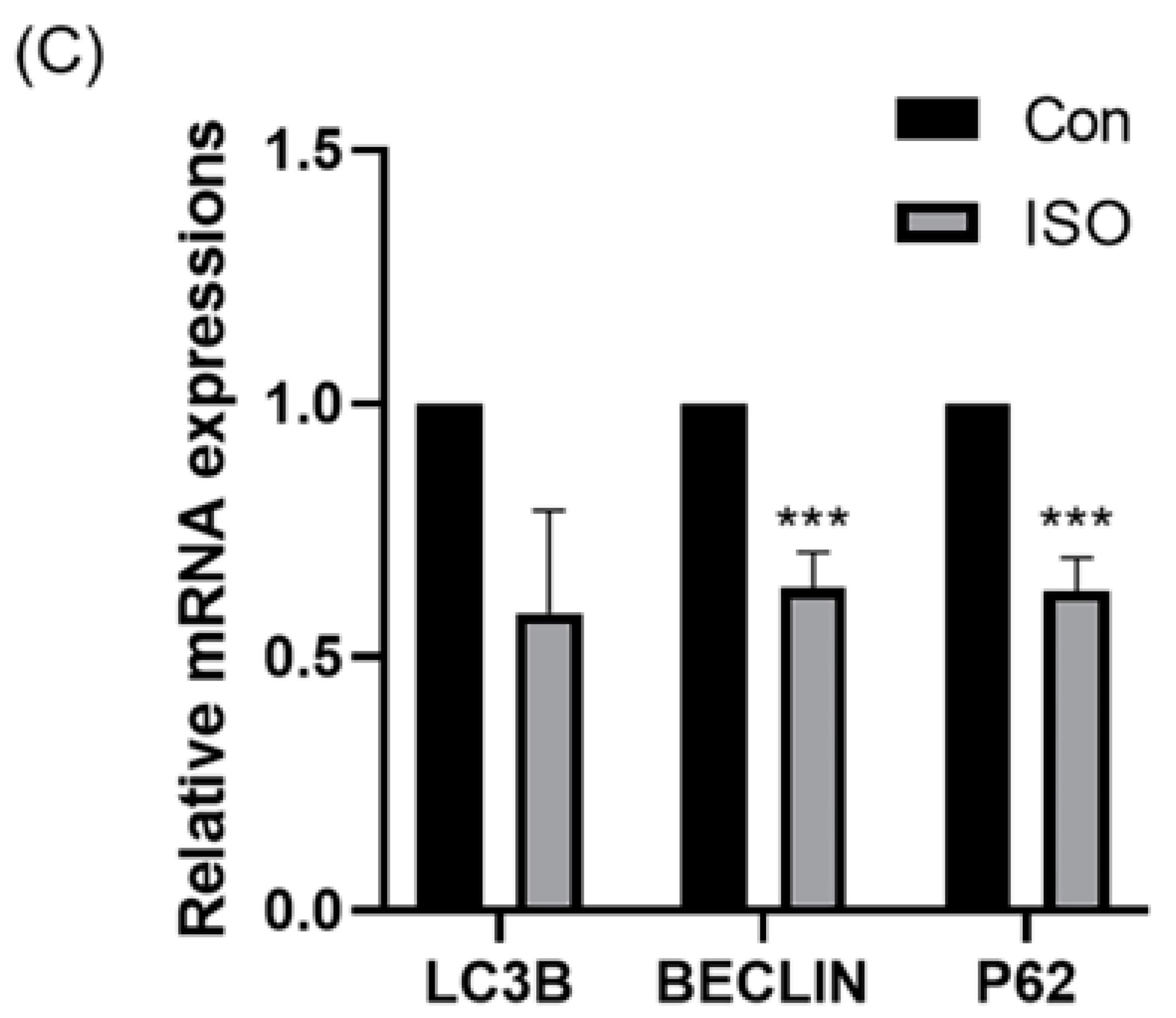 Animals 14 02806 g006b Animals 14 02806 g006b