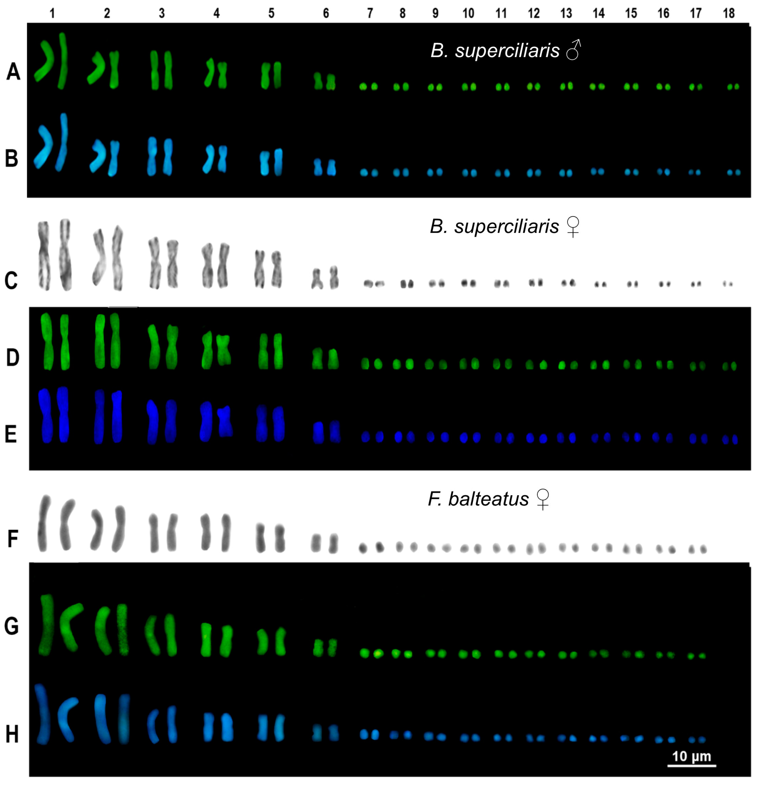 Animals 14 02818 g001