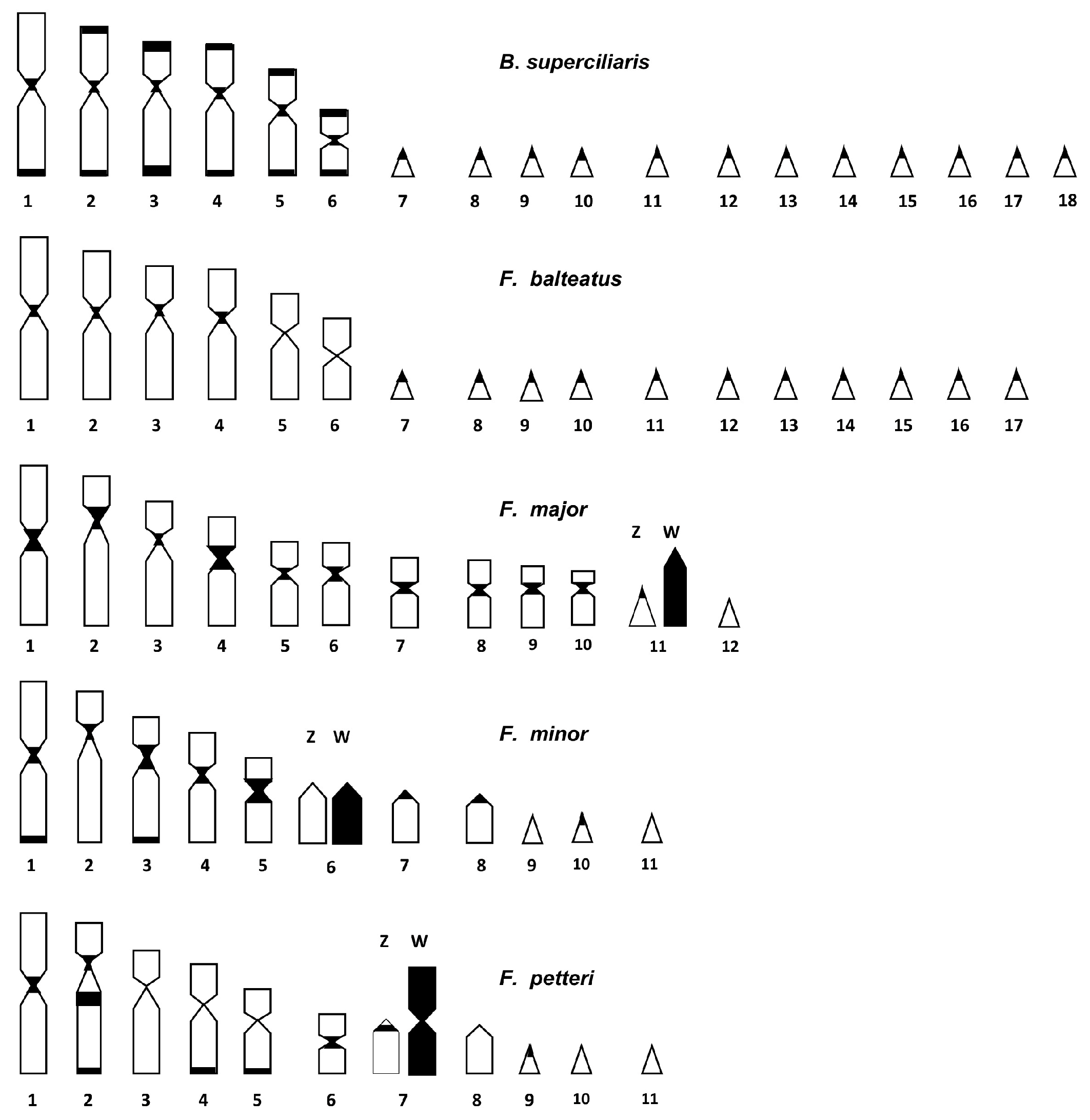 Animals 14 02818 g003