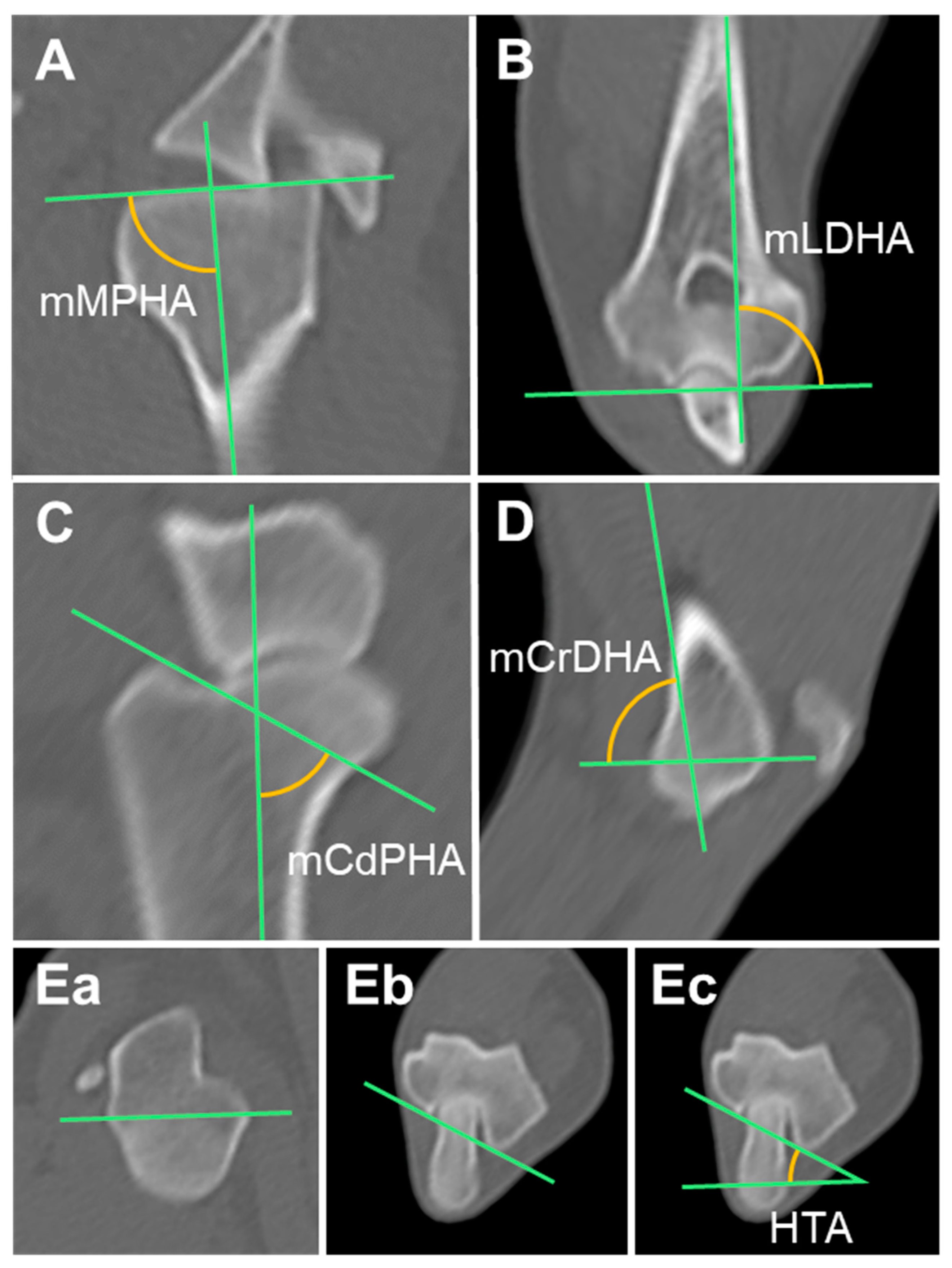 Animals 14 02827 g001