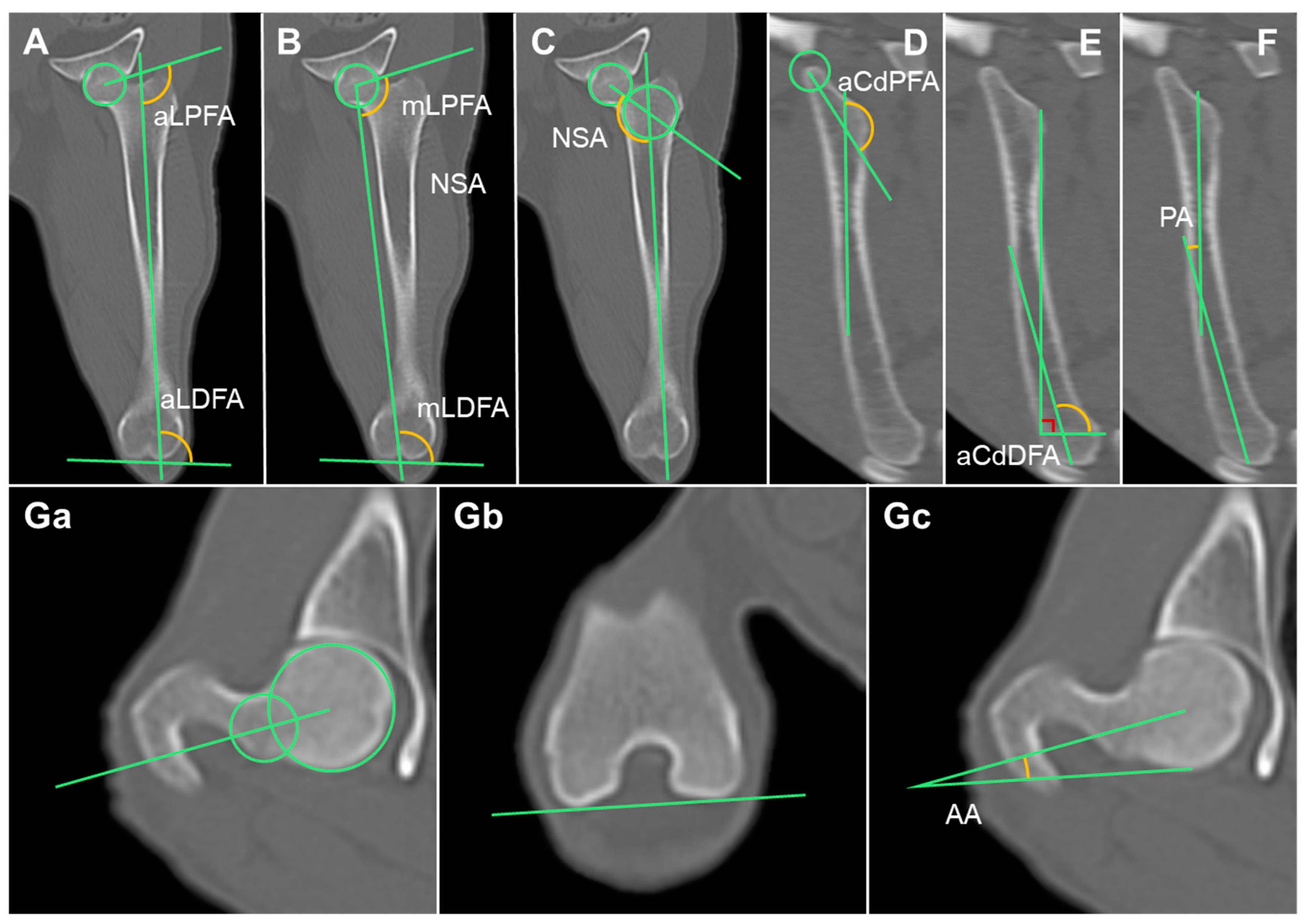 Animals 14 02827 g003