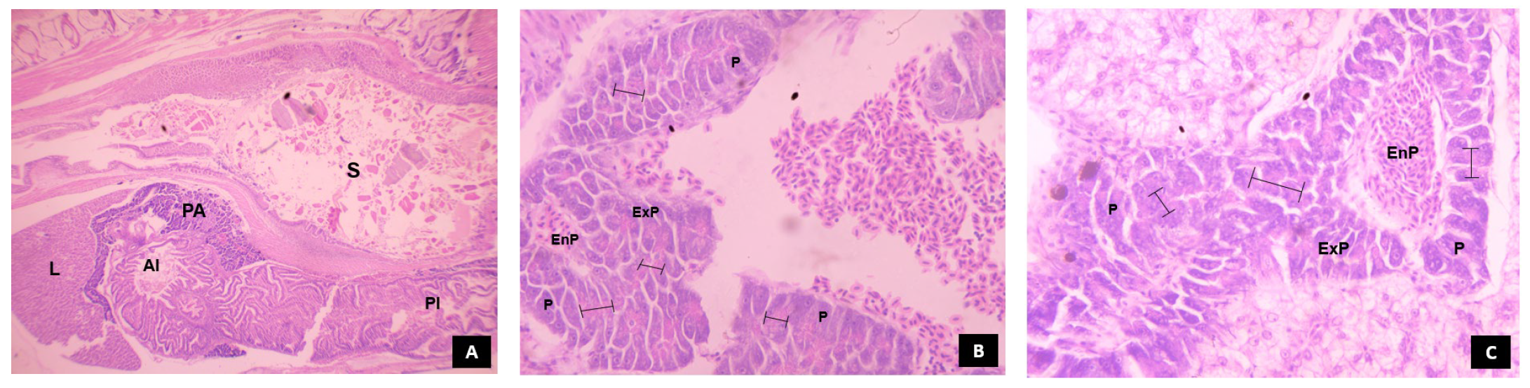 Animals 14 02838 g012a