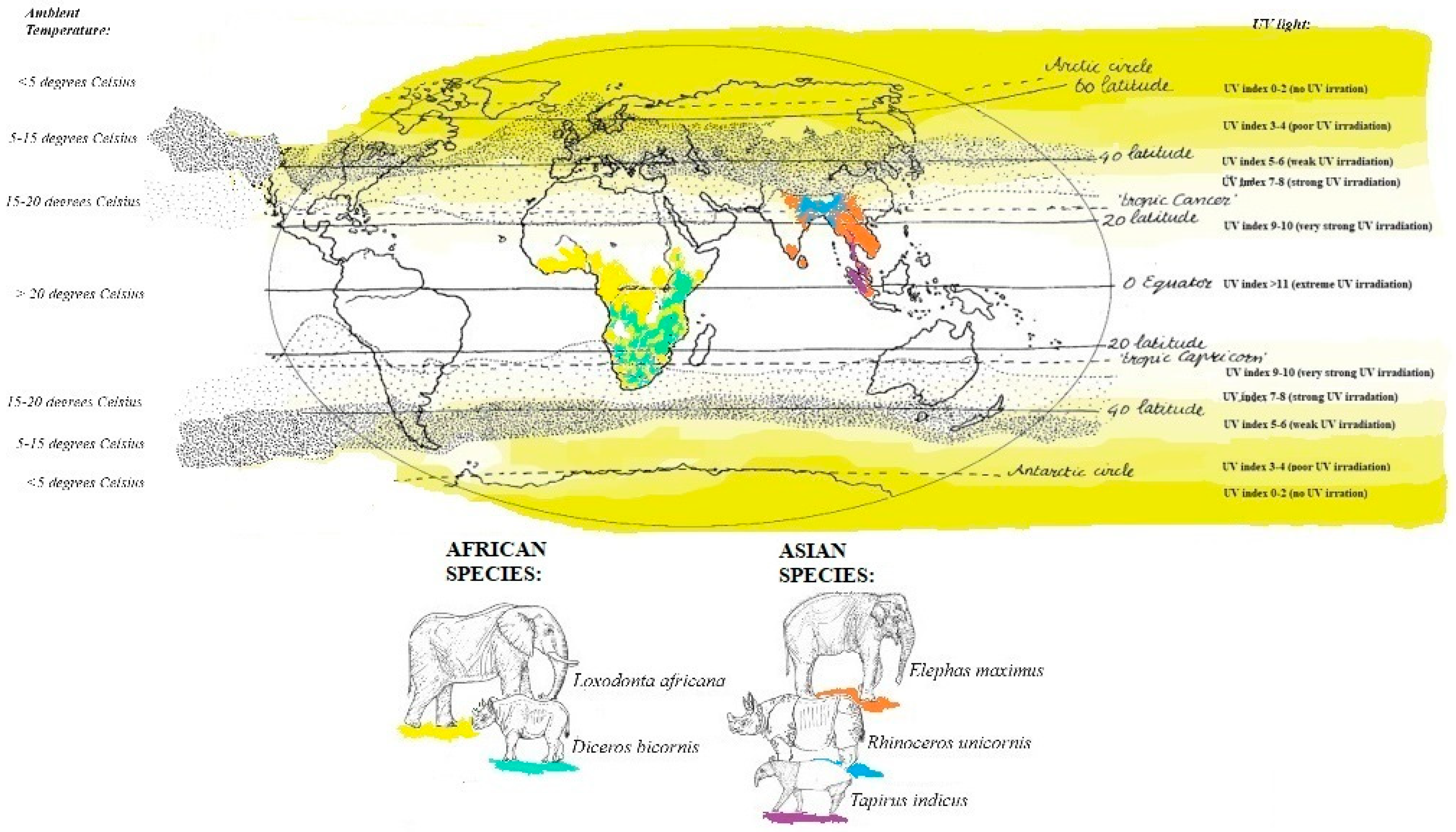 Animals 14 02843 g001