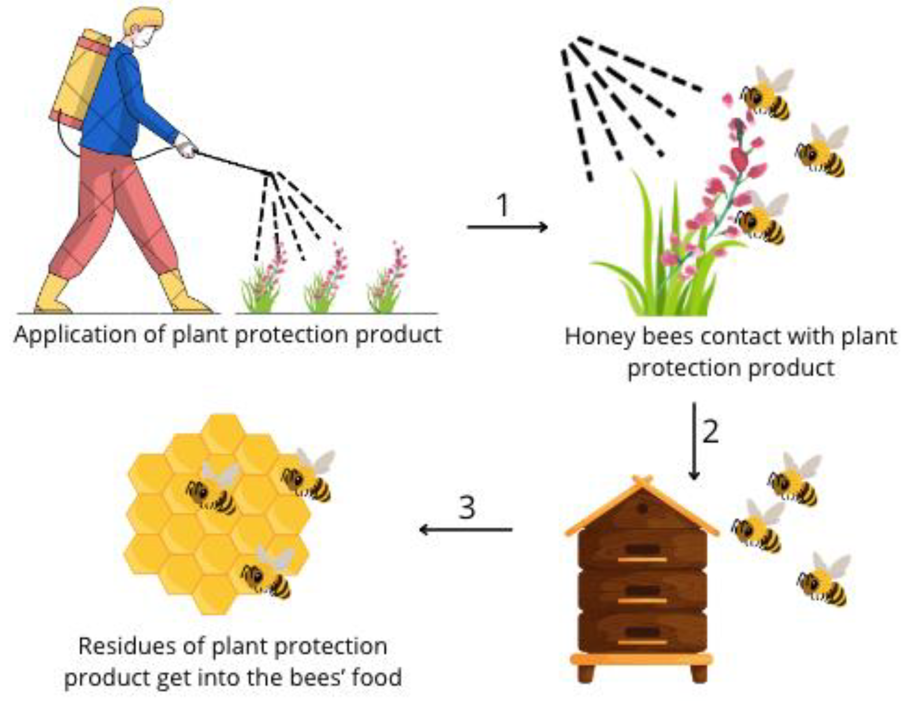 Animals 14 02857 g001